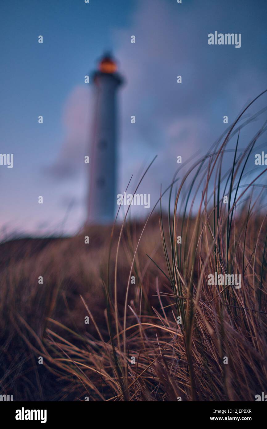 Phare en arrière-plan sur les dunes de la côte danoise. Photo de haute qualité Banque D'Images