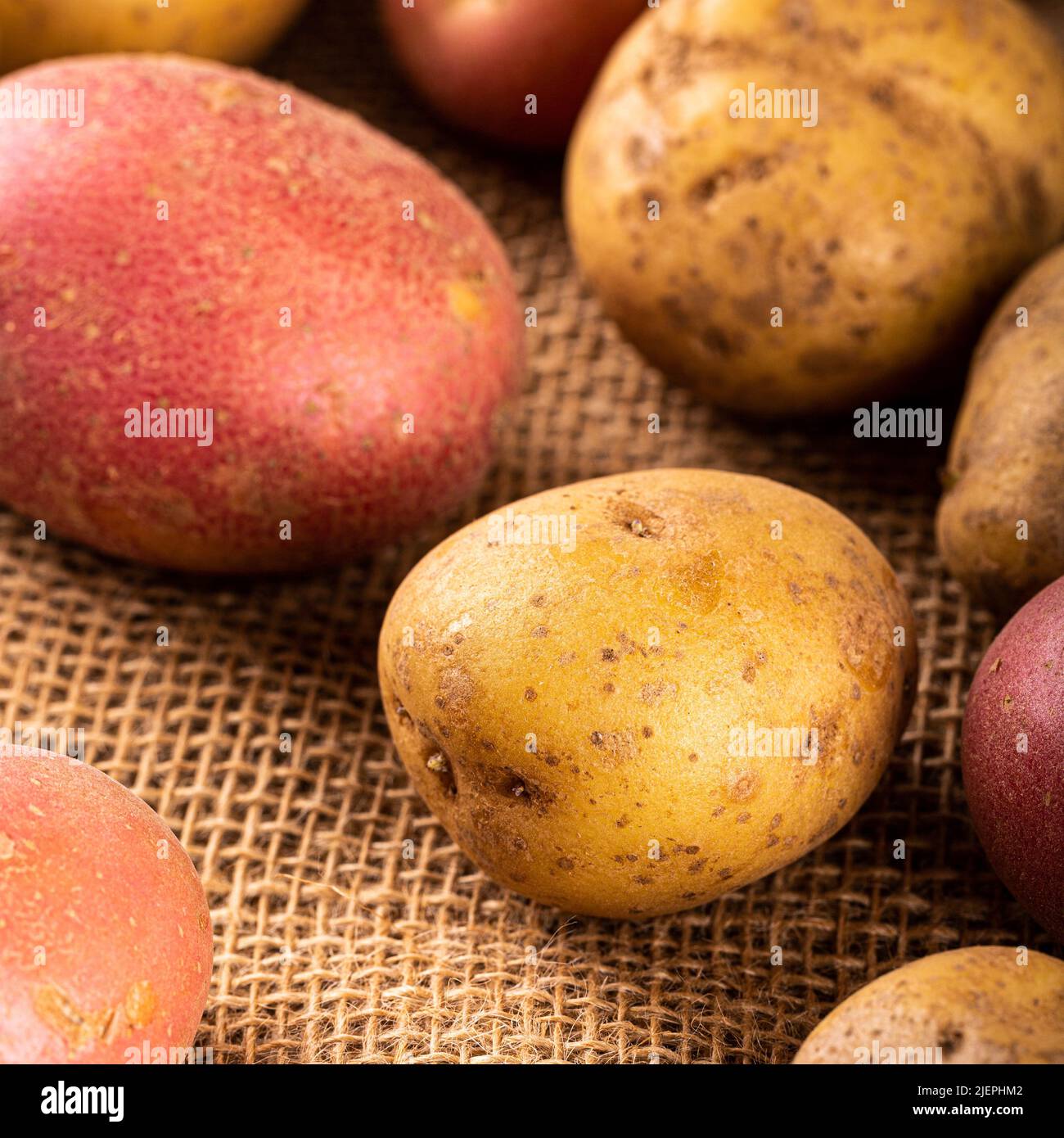 Pommes de terre biologiques entières et lavées Banque D'Images