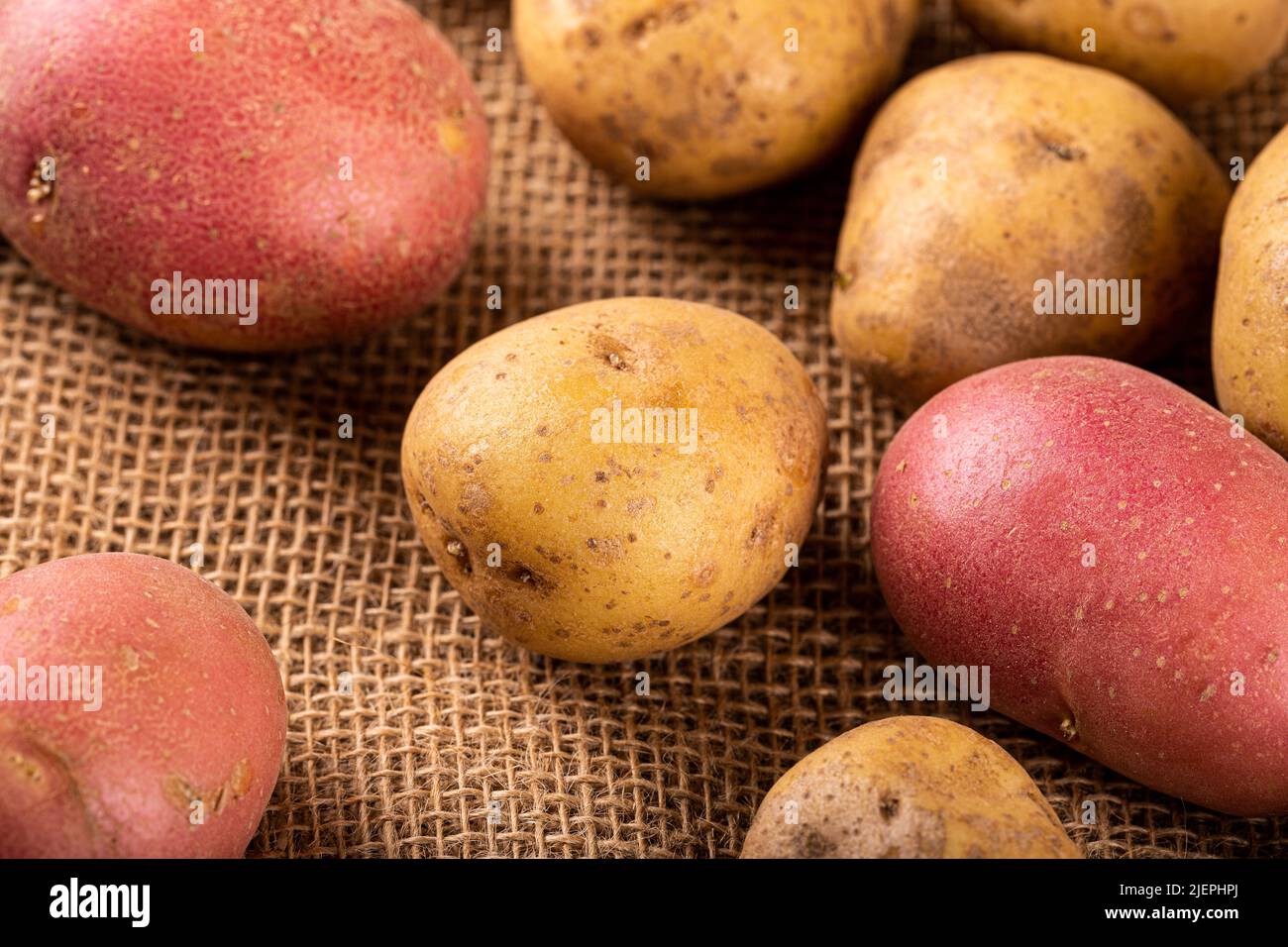 Pommes de terre biologiques entières et lavées Banque D'Images