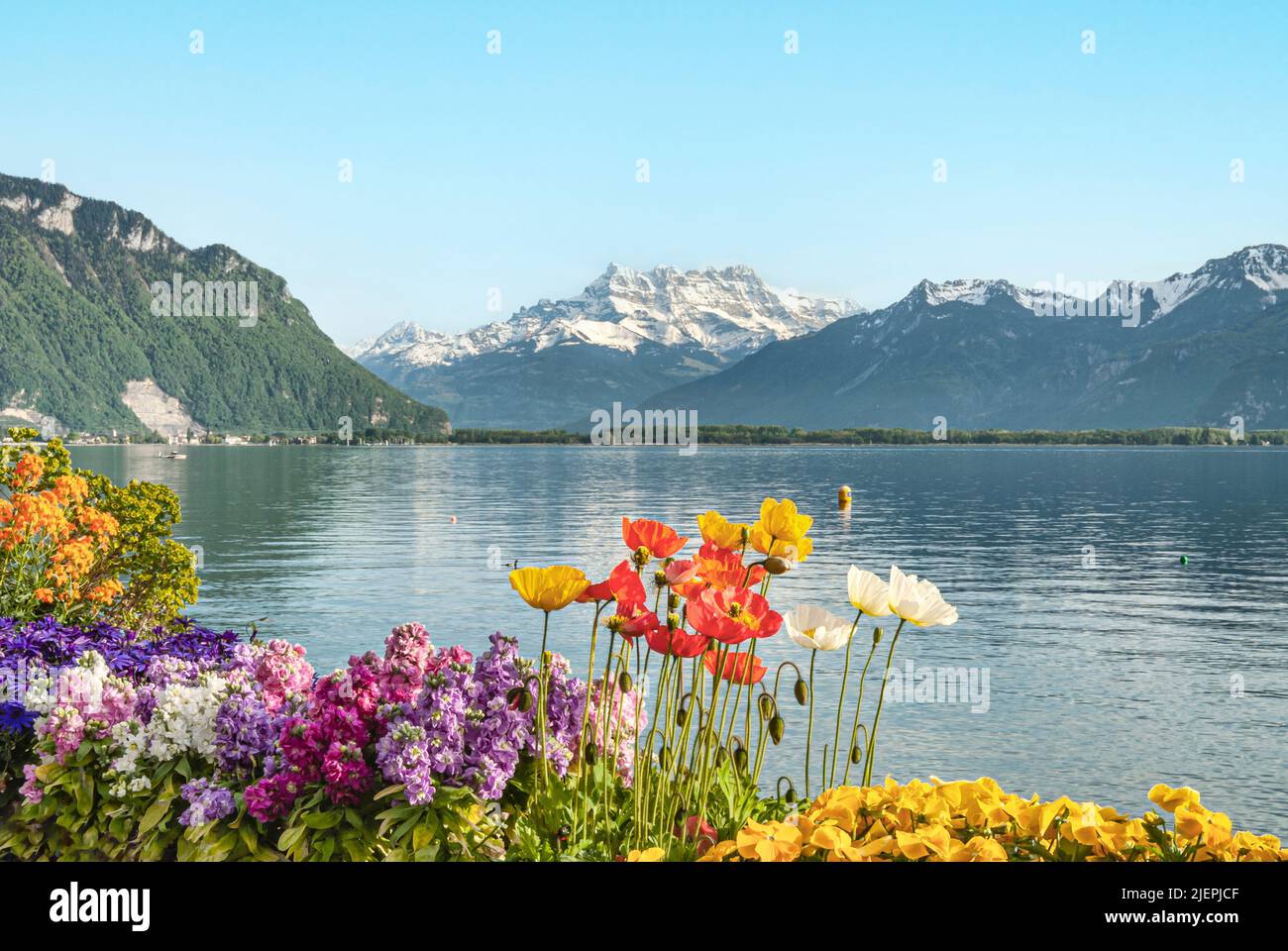 Fleurs printanières am Quai des fleurs, Montreux, Lac Léman, Suisse Banque D'Images