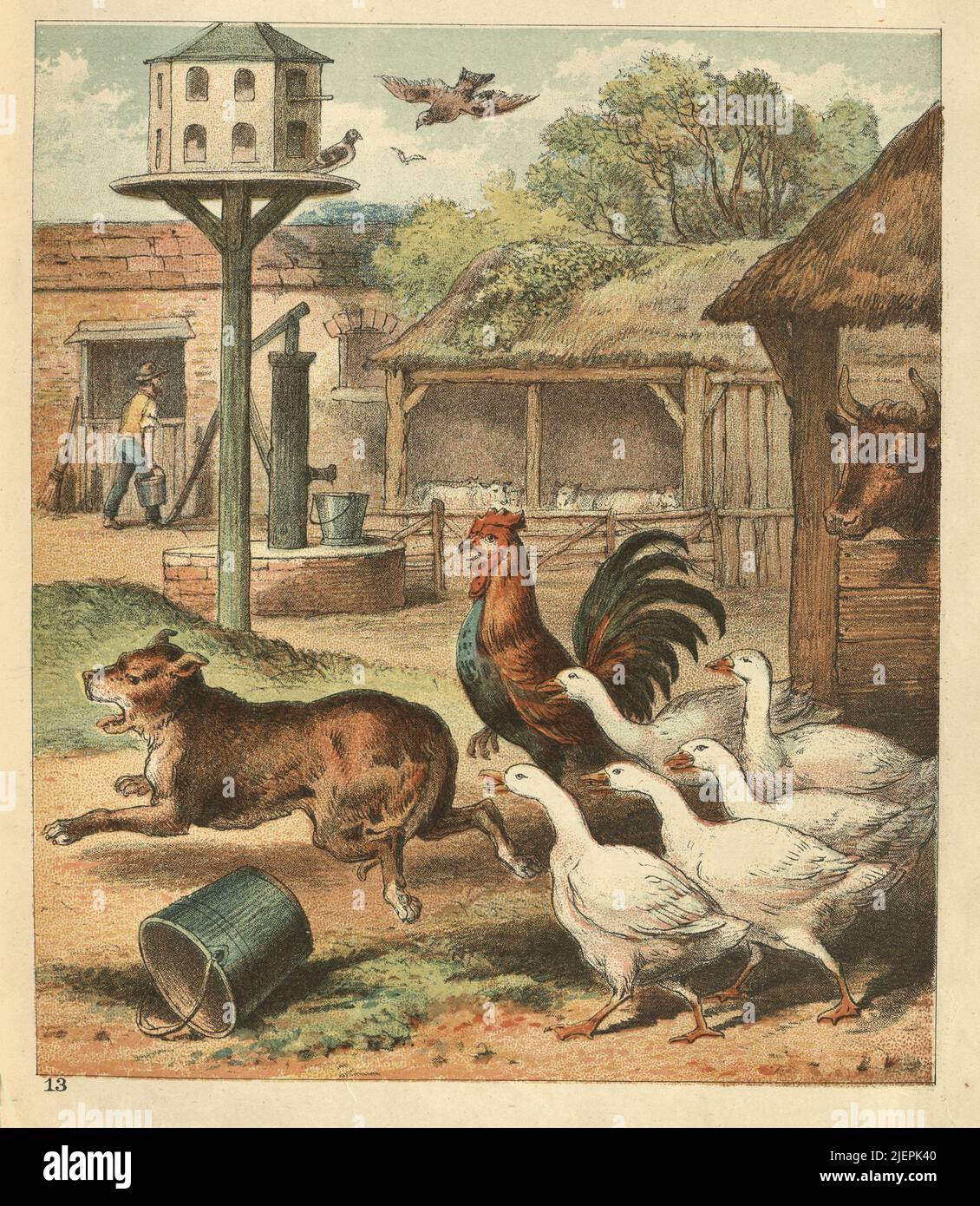 Jardin de ferme victorien, chien pourchassé par le coq et les oies, 19th siècle Banque D'Images