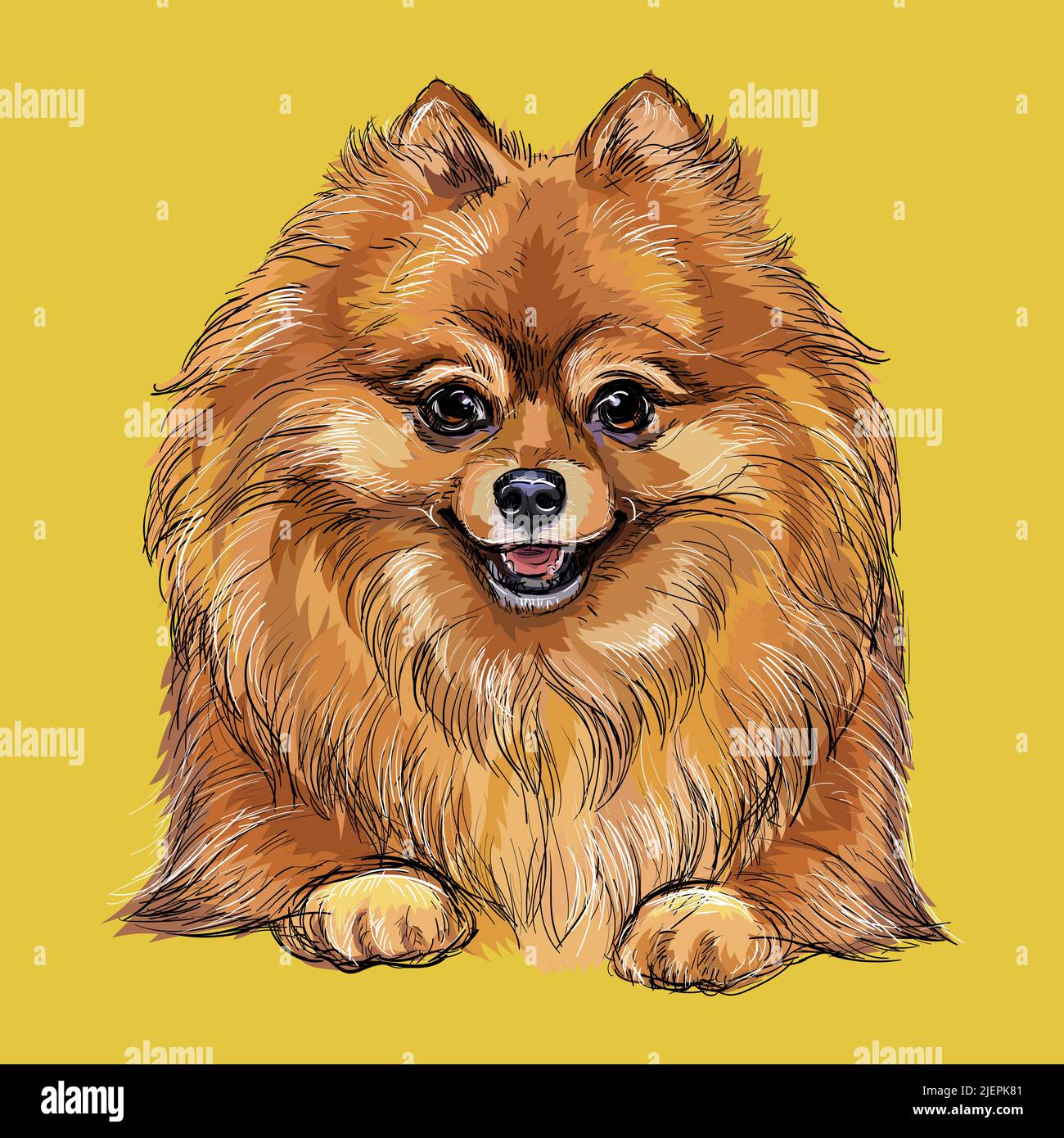 Illustration isolée de chien à dessin main de Pomeranian sur fond jaune. Joli chien drôle regardant dans l'appareil photo. Chien réaliste. Pour l'impression, décochez Illustration de Vecteur