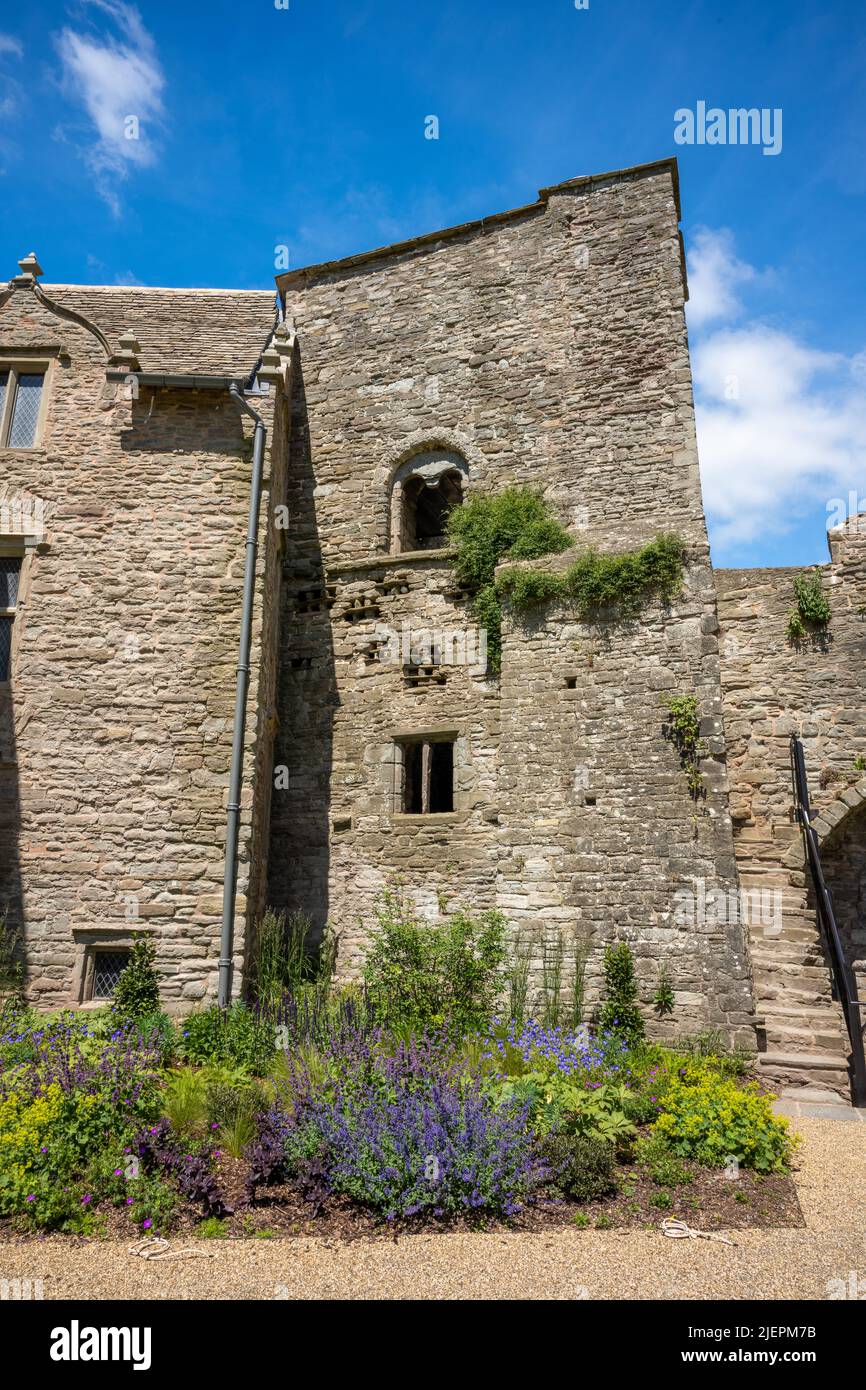 Fleurs à côté de la tour médiévale en pierre du château de Hay au pays de Galles Banque D'Images