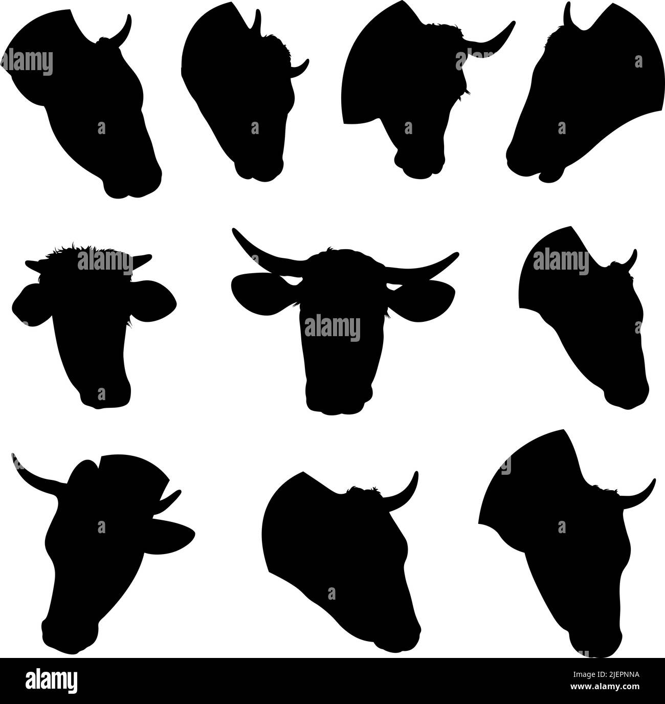 Illustration de différentes têtes de vache isolées sur blanc Illustration de Vecteur