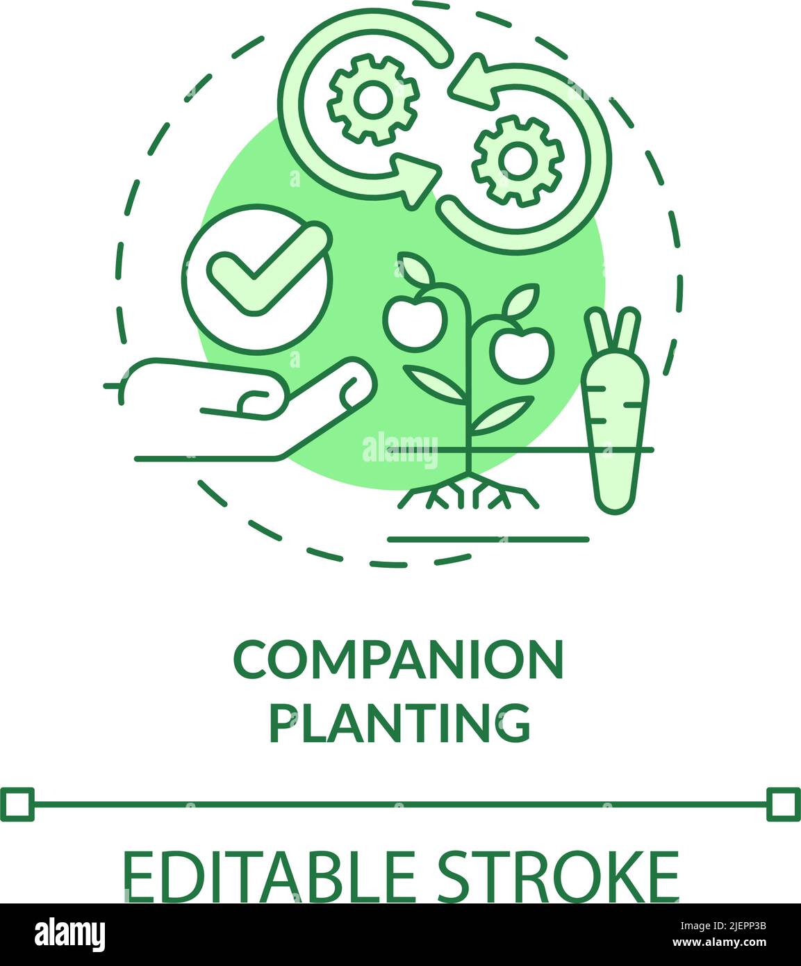 Icône de concept vert de plantation Companion Illustration de Vecteur