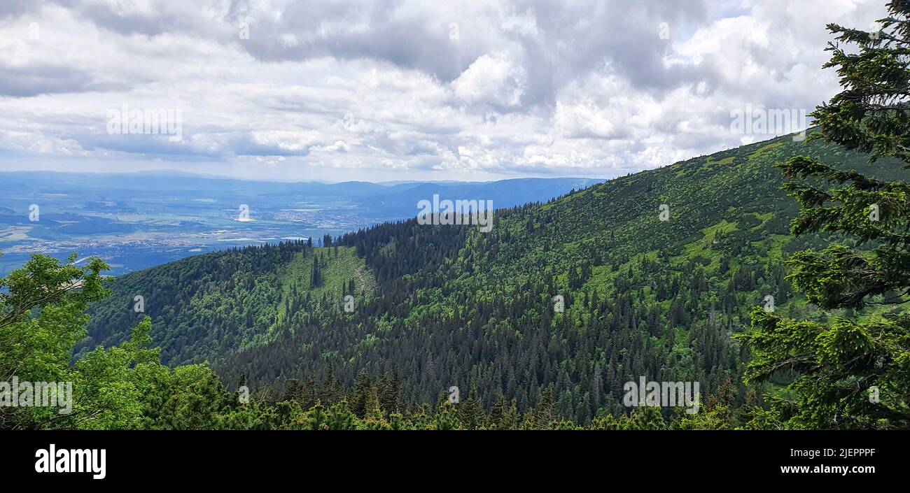 Paysage naturel dans les contreforts des Hautes Tatras dans le nord de la Slovaquie au début de l'été avec de larges vallées et des prairies verdoyantes. Banque D'Images