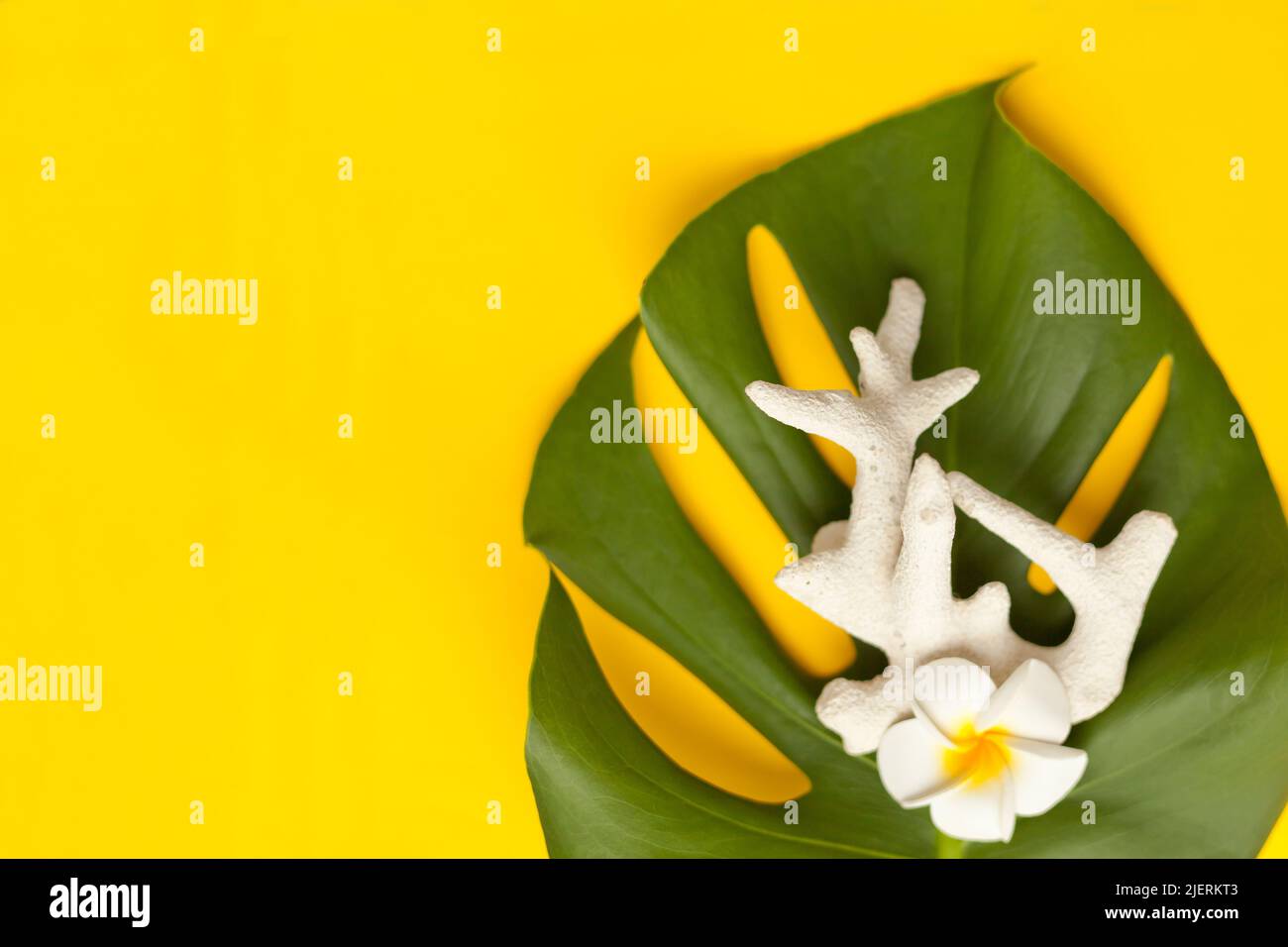 feuilles de monstère et coraux sur fond jaune. Feuilles tropicales et fleurs frangipani. Élément été Banque D'Images