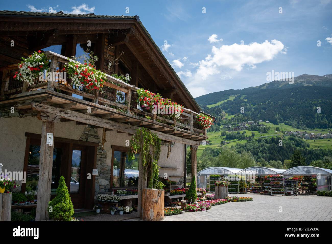 Fleuriste en montagne Banque D'Images