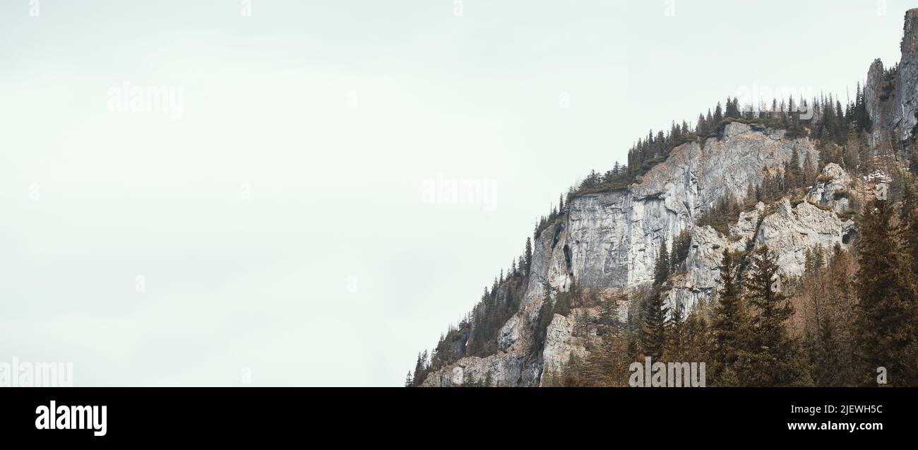 Pente de montagne couverte d'arbres Banque D'Images