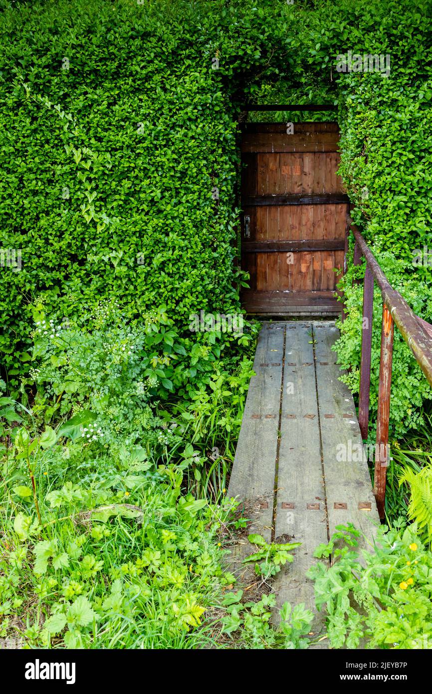 Porte ou portail en bois massif dans une haie haute, avec accès sur un petit vieux pont en bois Banque D'Images