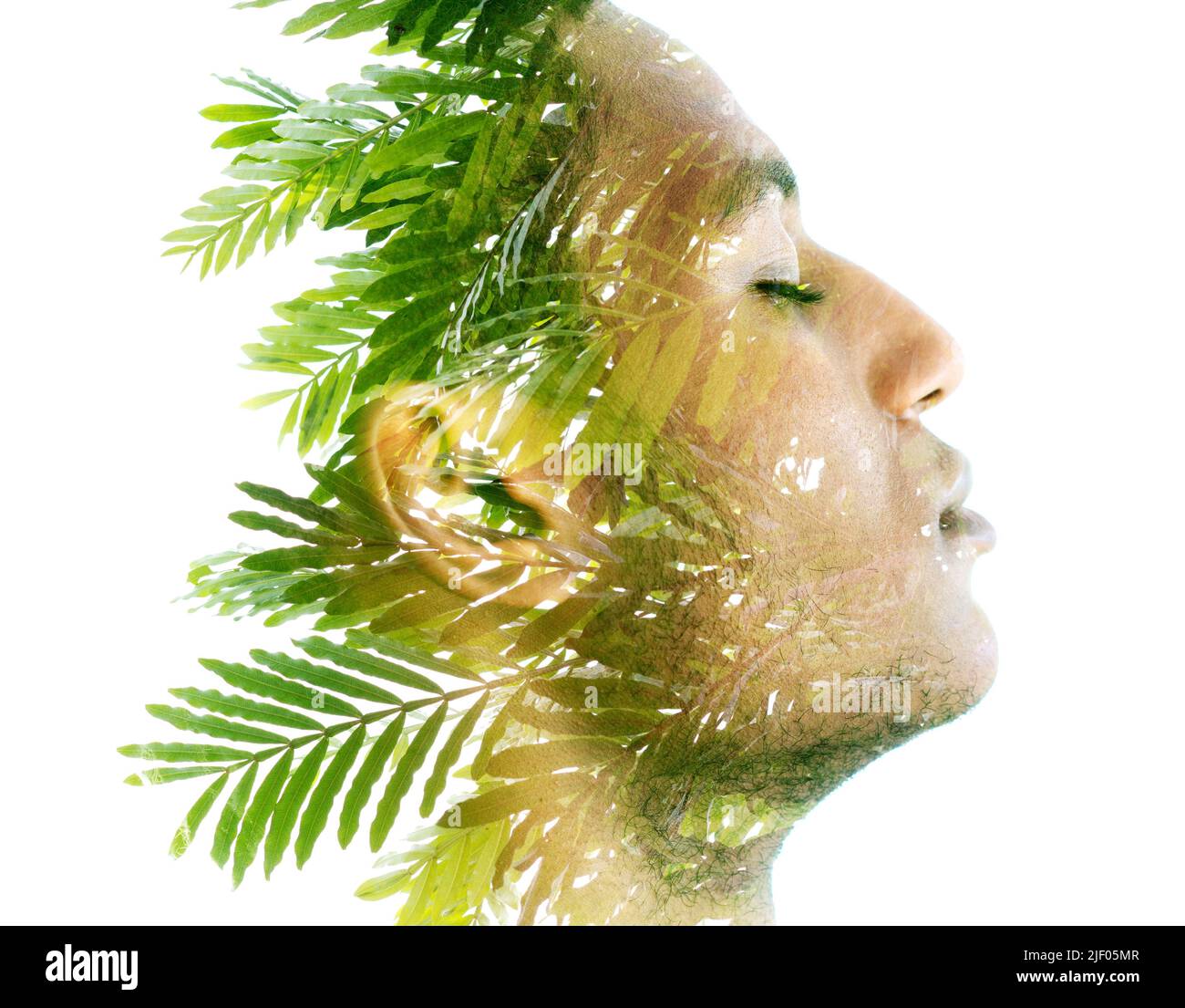 Portrait de profil d'un homme combiné à une image de plantes tropicales Banque D'Images