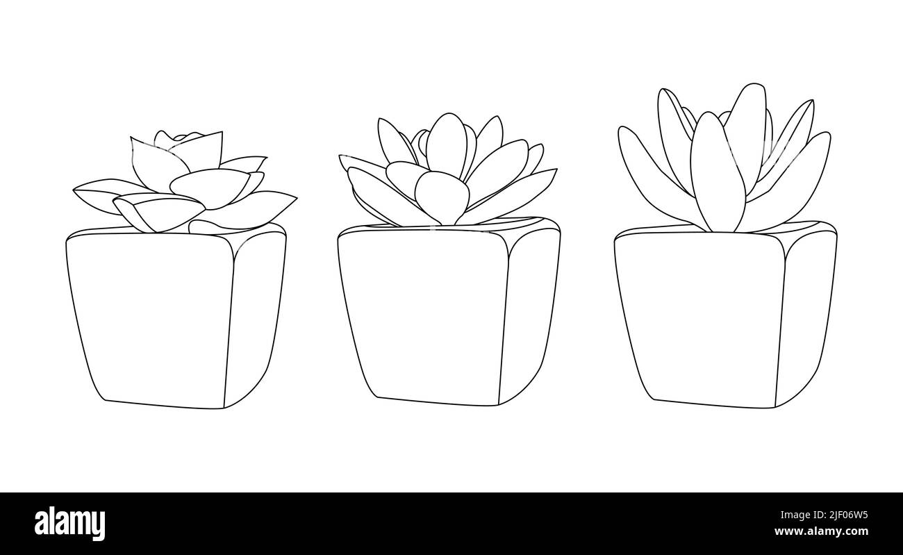 Intérieur ECO avec succes dans un style linéaire simple. Illustration du vecteur de contour modifiable Illustration de Vecteur