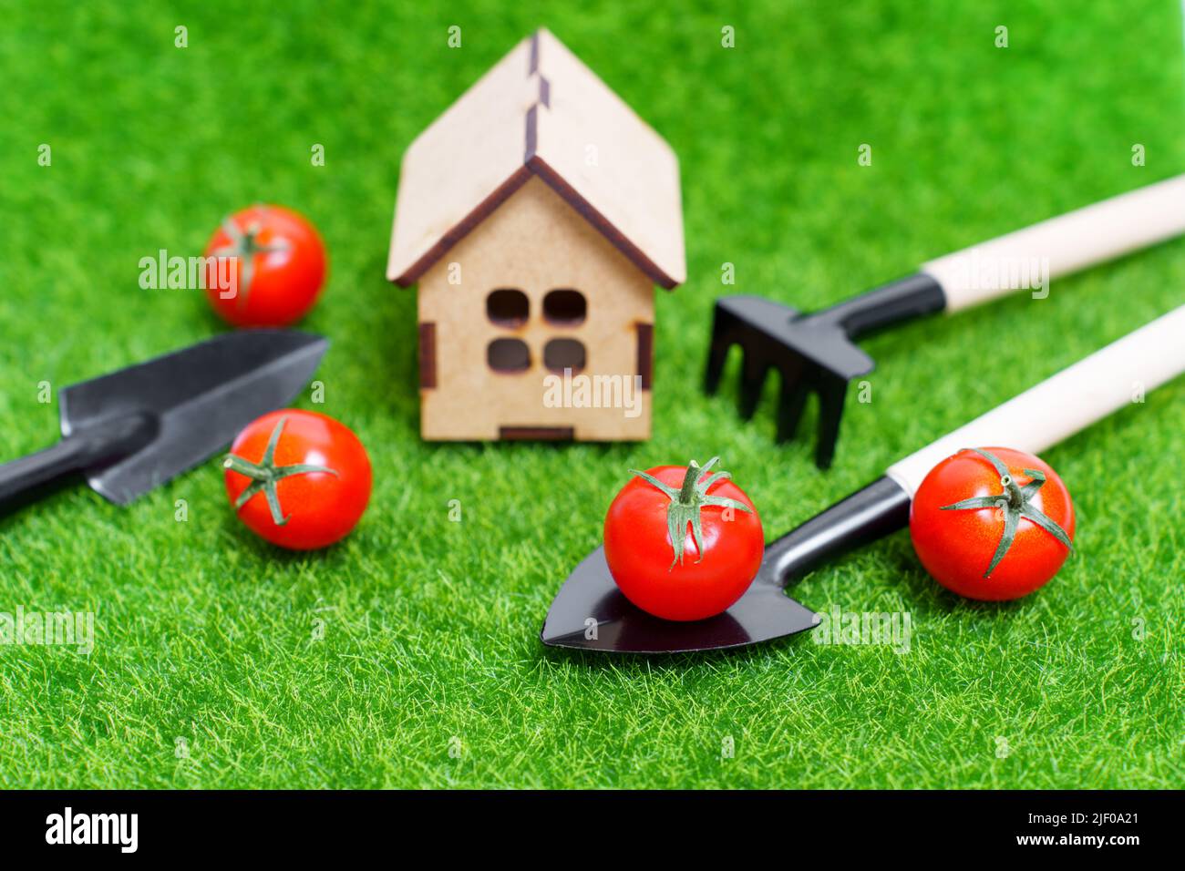 Maison de jouets, tomates cerises mûres et outils de jardinage disposés sur un fond d'herbe. La culture de tomates dans le jardin de la maison. Banque D'Images