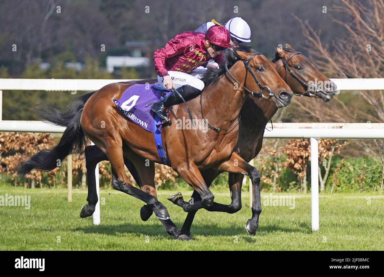 Photo du dossier en date du 02-04-2022 de Piz Badile criblé par Gavin Ryan gagne le P.W. Enjeux McGrath Memorial Ballysax. Les connexions de Piz Badile ont été heureuses de voir le Colt intelligent reprendre sa saison en terminant une seconde nette dans le Derby irlandais au Curragh samedi. Date de publication : mardi 28 juin 2022. Banque D'Images