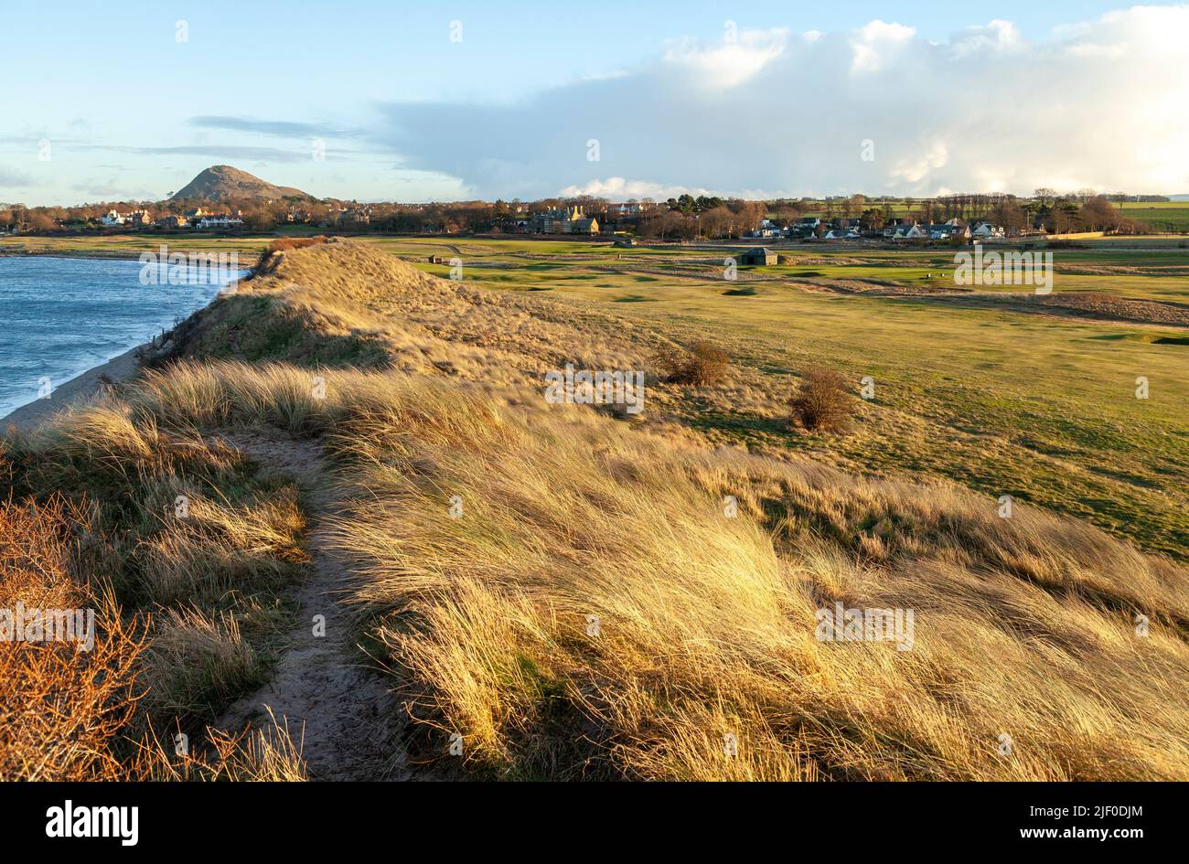 Parcours de golf de North Berwick avec la loi en arrière-plan, East Lothian Scotland. Banque D'Images