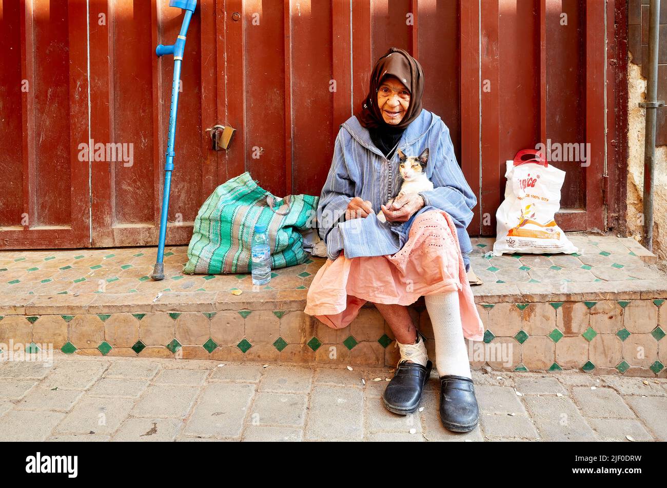 Maroc Fez. Portrait d'une vieille femme avec son chat errant Banque D'Images