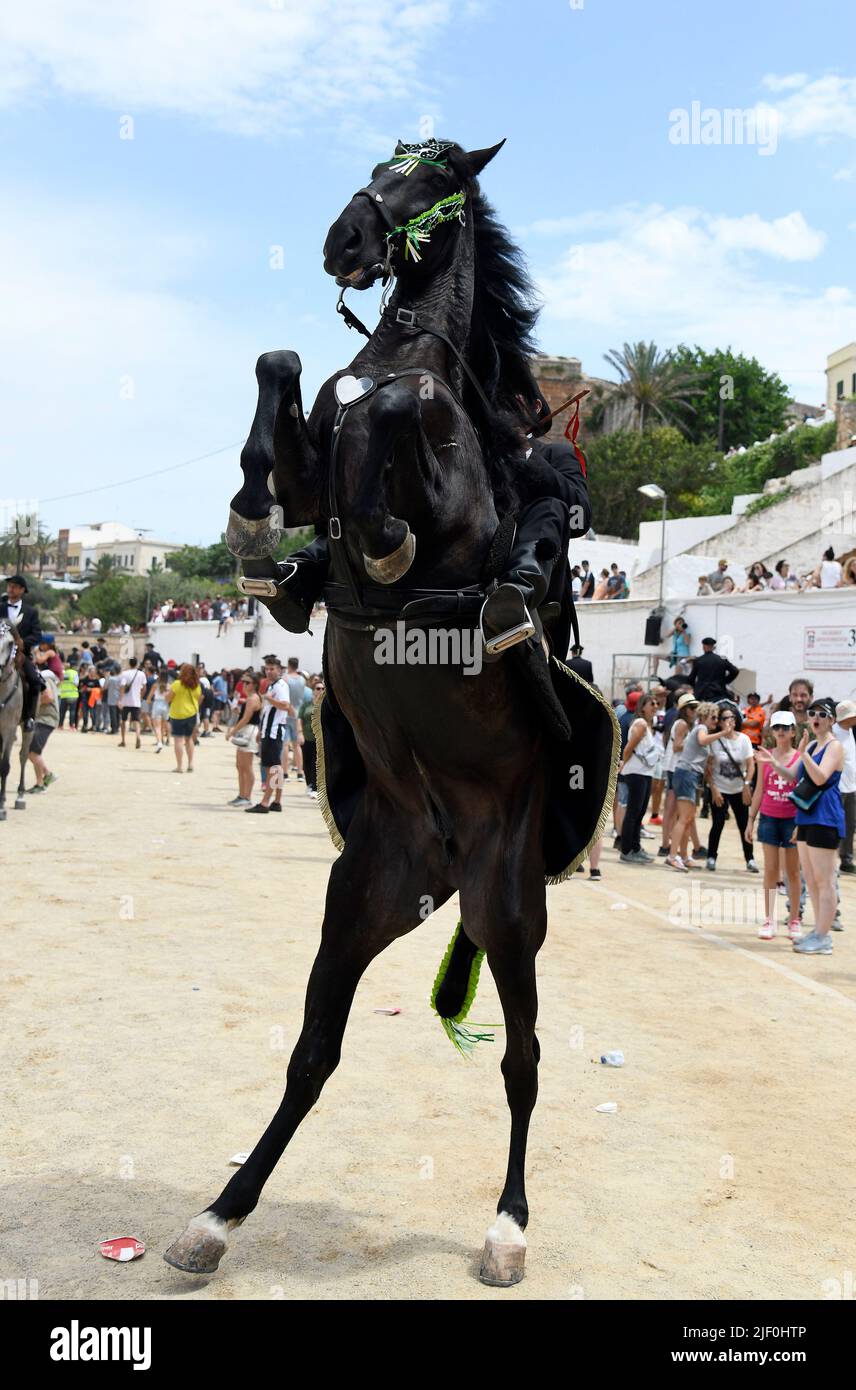 Festivités de Sant Joan à Ciutadella, Minorque. Les chevaux traversent la ville en s'élevant parmi les gens et en courant sur l'esplanade du port. Banque D'Images