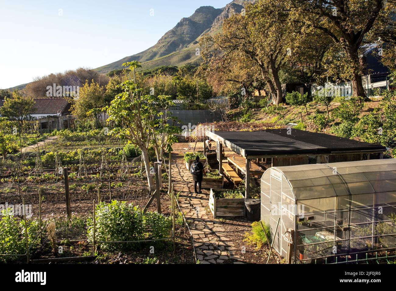 Le Cap, Afrique du Sud. 28th juin 2022. Les gens visitent la ferme de la ville d'Oranjezicht près du centre-ville du Cap, en Afrique du Sud, sur 28 juin 2022. Le jardin alimentaire à but non lucratif a été créé par un petit groupe de résidents locaux pour célébrer la nourriture, la culture et la communauté locales grâce à l'agriculture urbaine dans la ville. Crédit: LYU Tianran/Xinhua/Alay Live News Banque D'Images