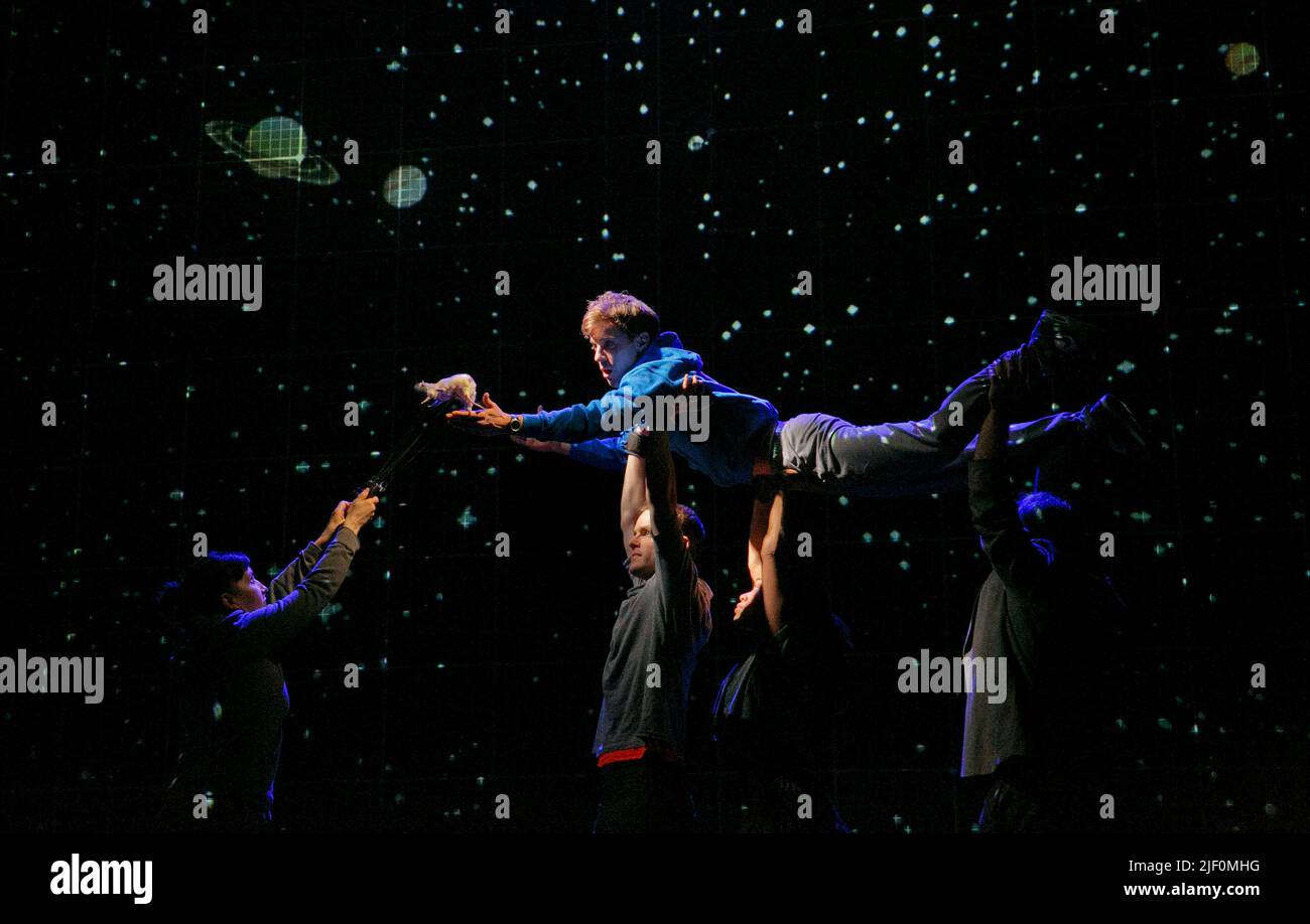 Luke Treadaway (Christopher Boone) avec son animal de compagnie rat 'Toby' dans L'ÉTRANGE INCIDENT DU CHIEN DANS LA NUIT par Simon Stephens à l'Apollo Theatre, Londres W1 12/03/2013 une production de théâtre national adapté du roman de Mark Haddon design: Bunny Christie éclairage: Paule Constable video design: Finn Ross directeur: Marianne Elliott Banque D'Images