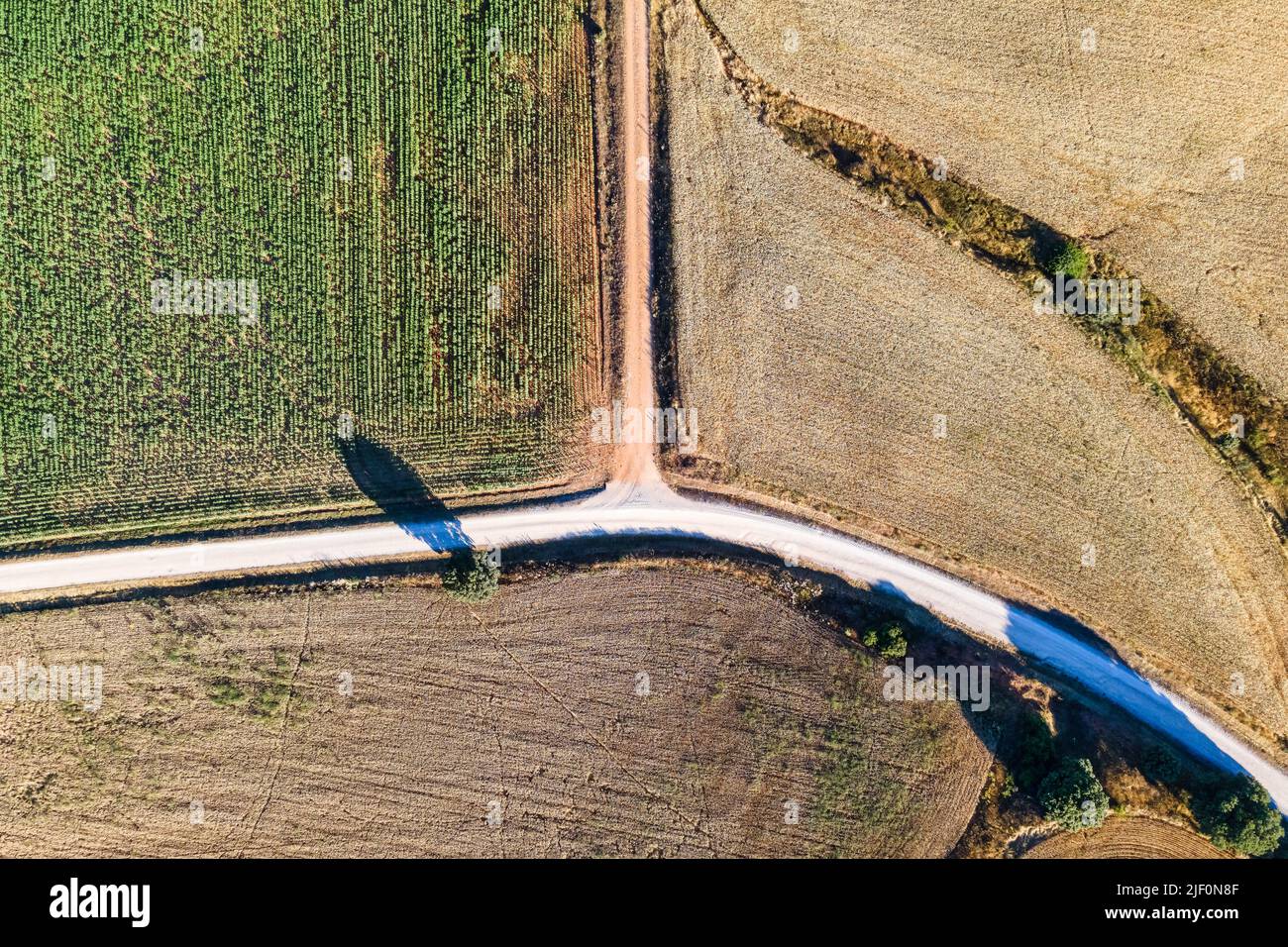 Vue aérienne des champs agricoles et des routes rurales à la campagne. Ségovie. Banque D'Images