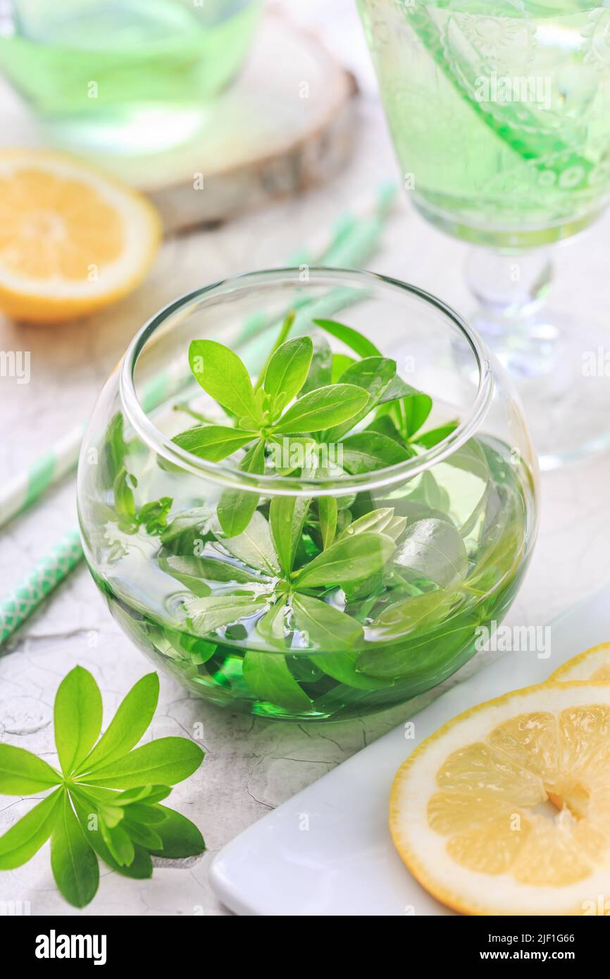 Limonade maison de Woodruff au citron (Galium odoratum) Banque D'Images