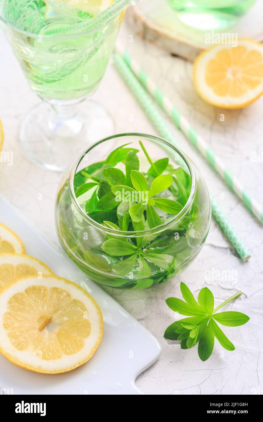 Limonade maison de Woodruff au citron (Galium odoratum) Banque D'Images