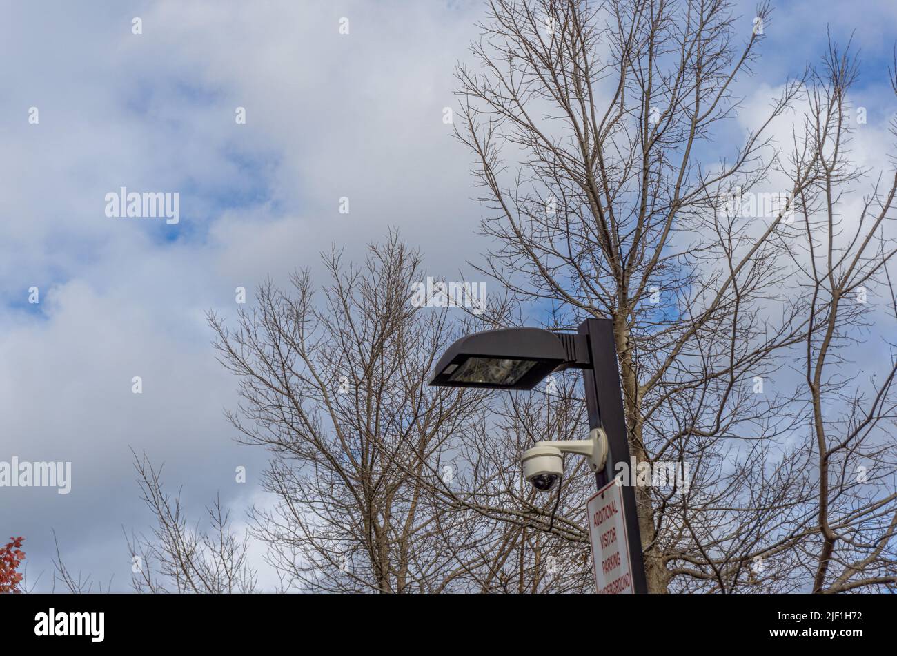 Lampe de rue sur fond d'arbres sans feuilles et ciel nuageux Banque D'Images