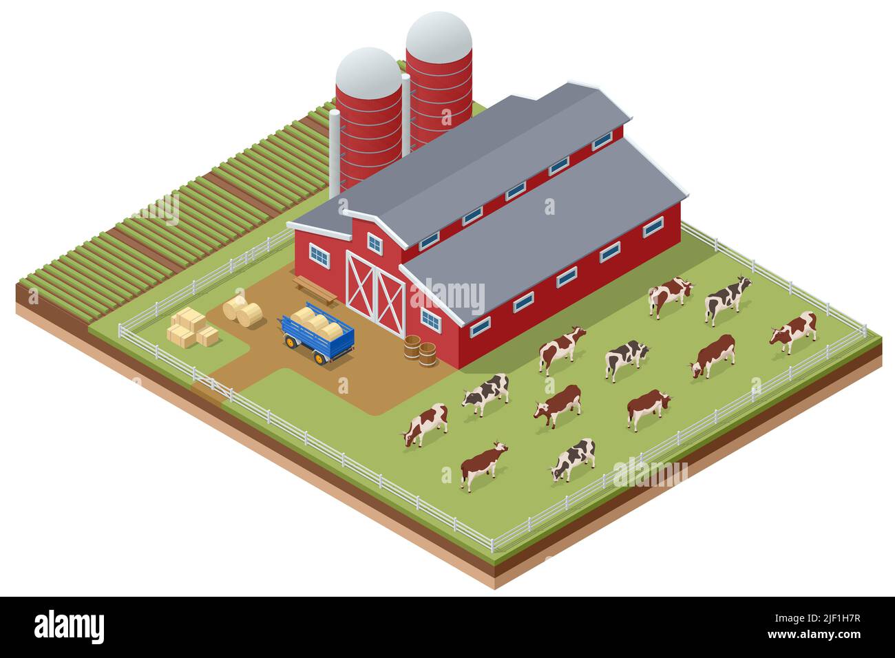 Les bâtiments agricoles isométriques, la grange du moulin à vent et le silo abritent les lits de potager et le tracteur. Vaches sur une ferme. Vaches laitières dans une ferme Illustration de Vecteur