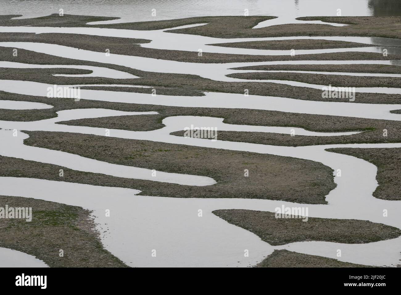 Les modèles naturels d'un mudFlat et des chemins d'eau à marée basse dans le bord de mer national de point Reyes en Californie. Banque D'Images