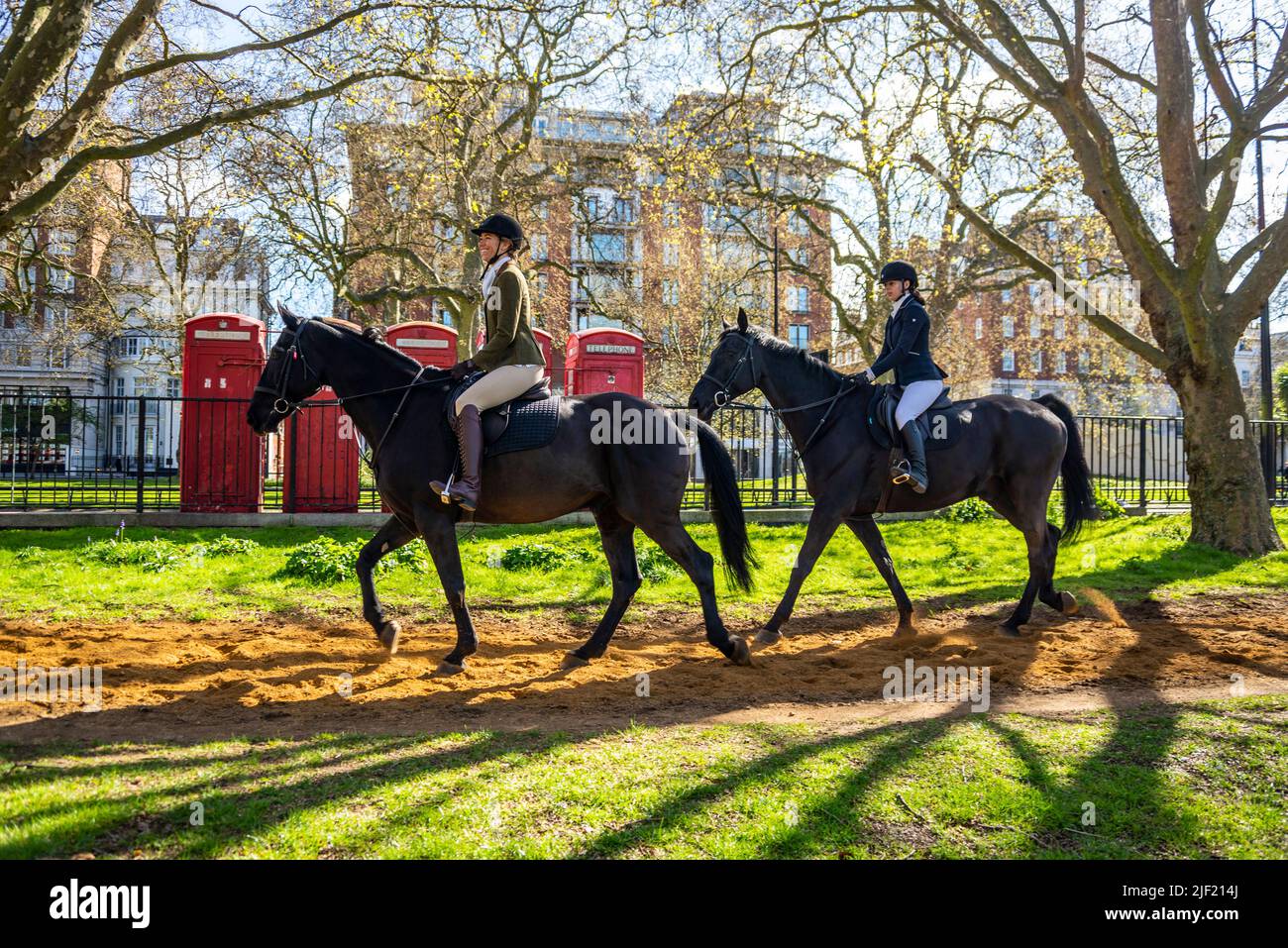 Des cavaliers à Hyde Park un matin ensoleillé. Des femmes blanches de race blanche passent devant les téléphones rouges de Londres. De longues ombres de la lumière de l'aube Banque D'Images