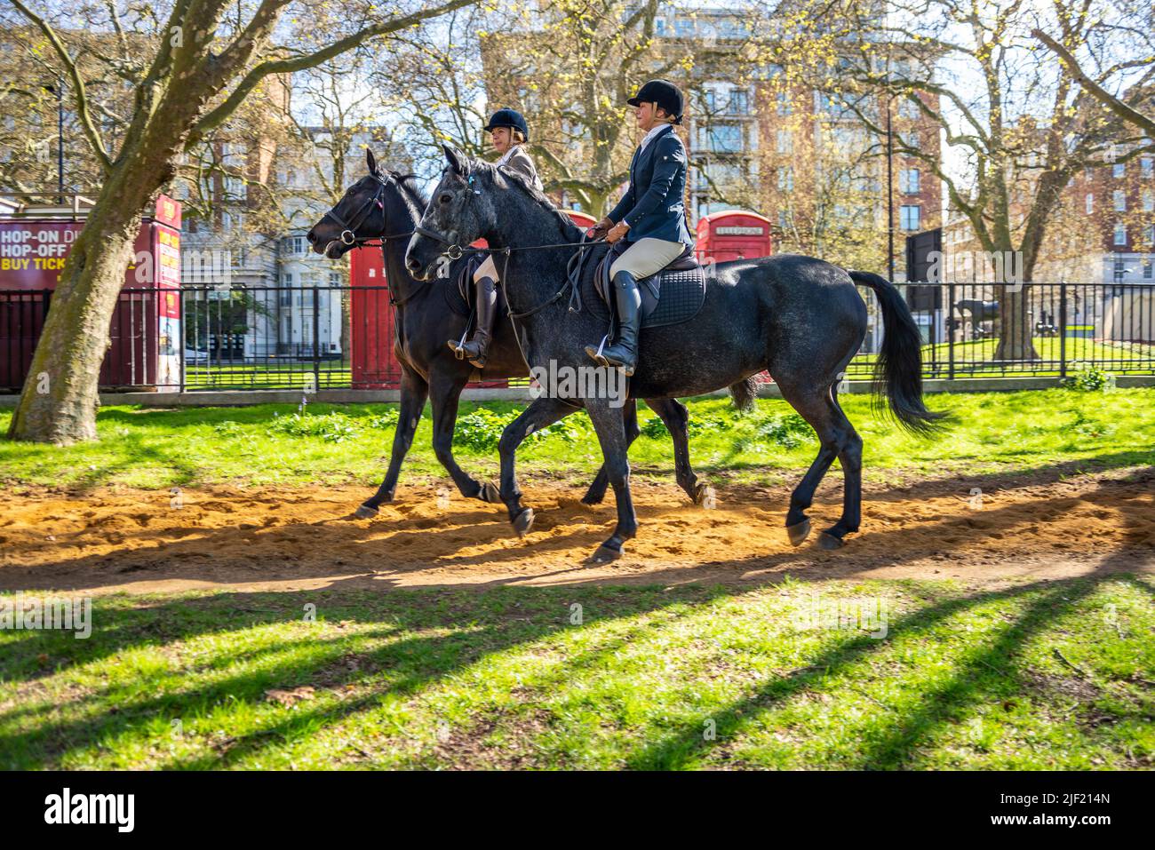 Des cavaliers à Hyde Park un matin ensoleillé. Des femmes blanches de race blanche passent devant les téléphones rouges de Londres. De longues ombres de la lumière de l'aube Banque D'Images