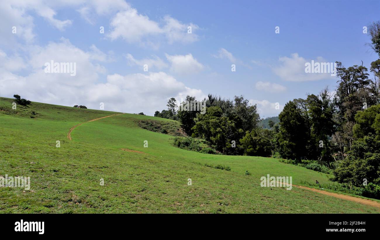 Paysages magnifiques et étonnants de Wenlock Downs point de tir de 9th miles. Un cadre naturel et verdoyant idéal pour les familles, les photos, les visites touristiques Banque D'Images