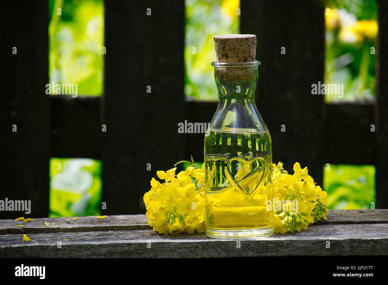 Fleurs de canola ou de colza jaune avec un petit décanteur d'huile en verre sur une table rustique Banque D'Images