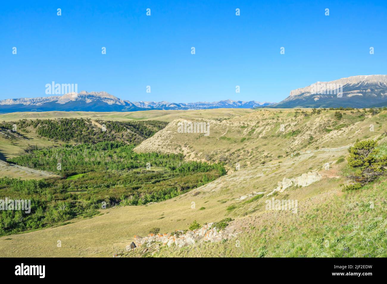 vallée de deep creek sous le front de montagne rocheux près de choteau, montana Banque D'Images