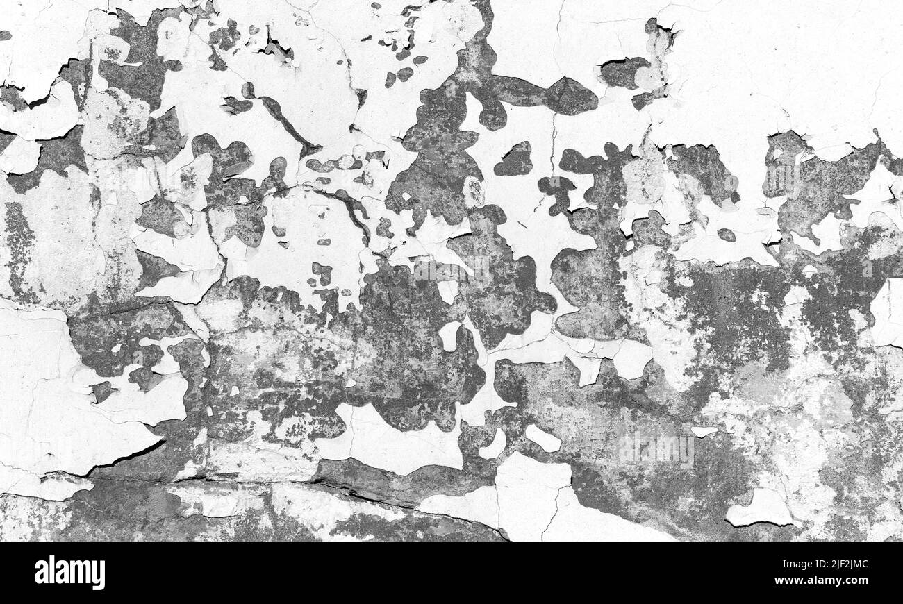 Mur en béton gris grundy avec des couches endommagées de stuc et de peinture blanche, texture photo monochrome d'arrière-plan Banque D'Images