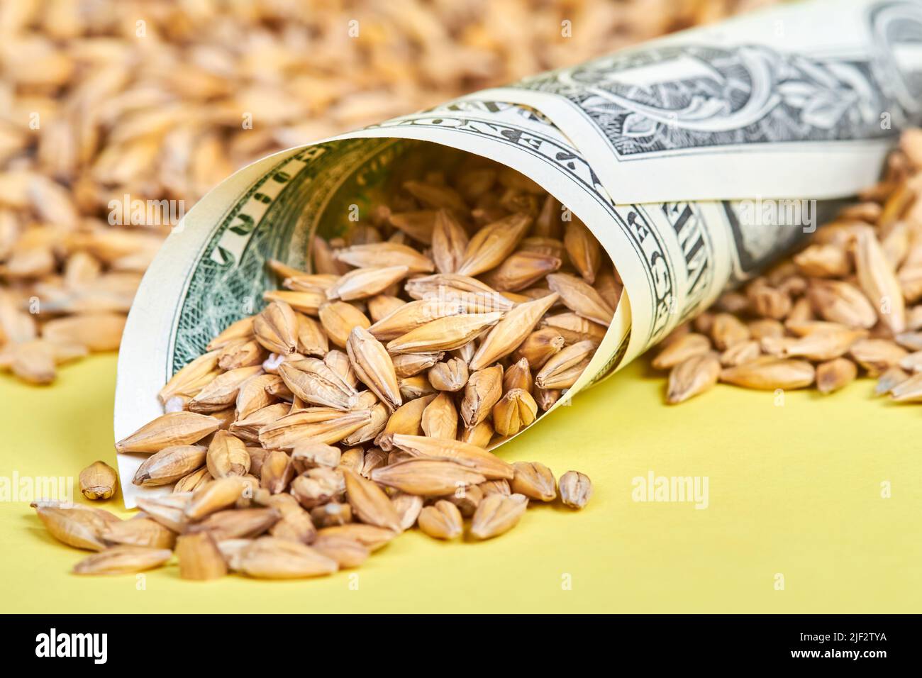 Un billet d'un dollar roulé avec des grains d'orge arrosé dans lui Banque D'Images