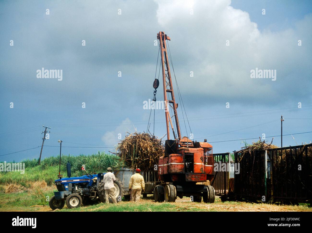 St Kitts grue hissage de la canne à sucre sur la remorque après la récolte Banque D'Images