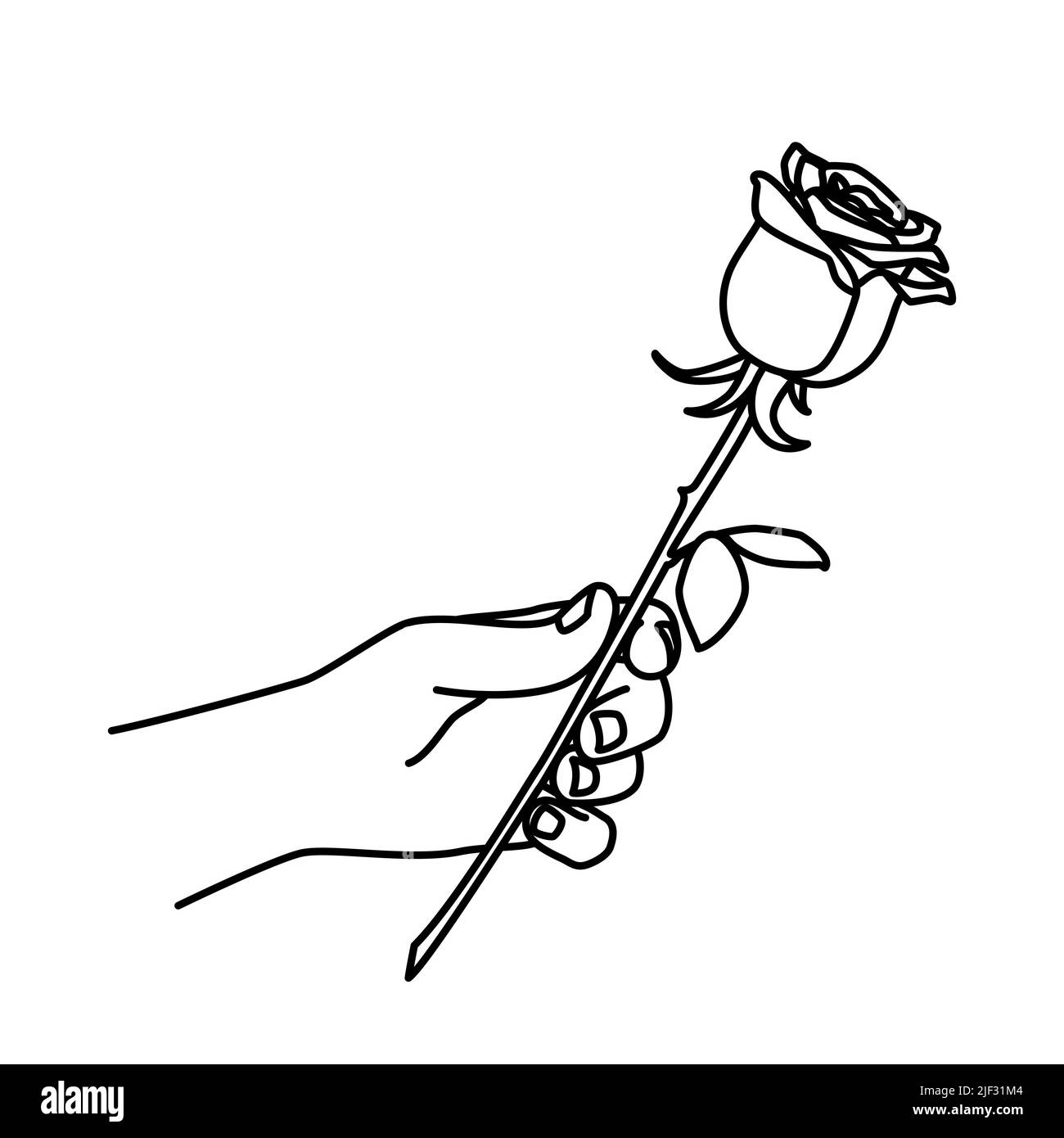 Main tenant une rose et lui donnant. L'homme donne une fleur. Tracé à la main avec une ligne fine. Illustration vectorielle isolée sur fond blanc Illustration de Vecteur