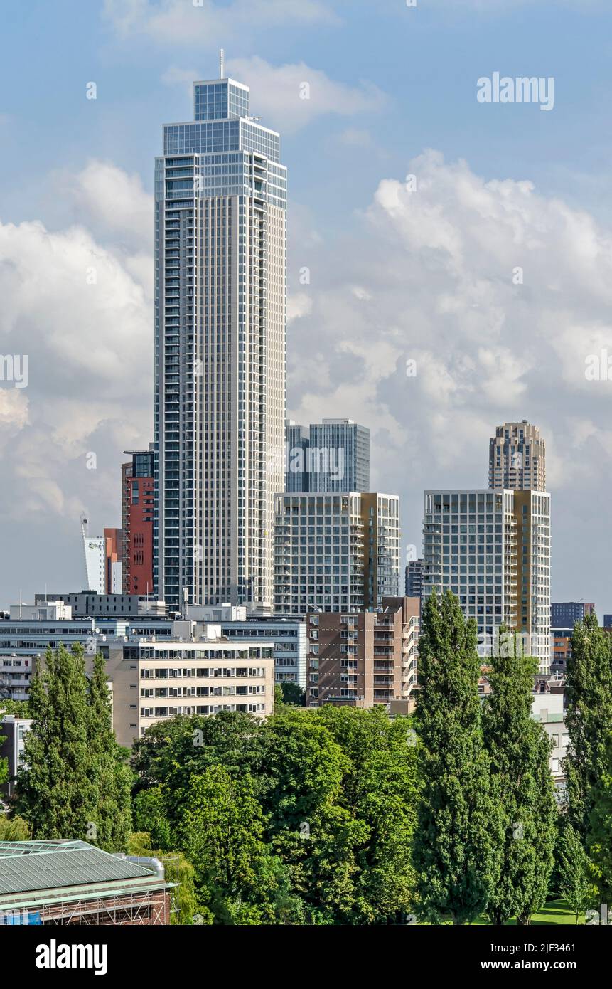 Rotterdam, pays-Bas, 24 juin 2022: La tour Zalmhaven, récemment achevée, s'élevant derrière les arbres du Museumpark Banque D'Images