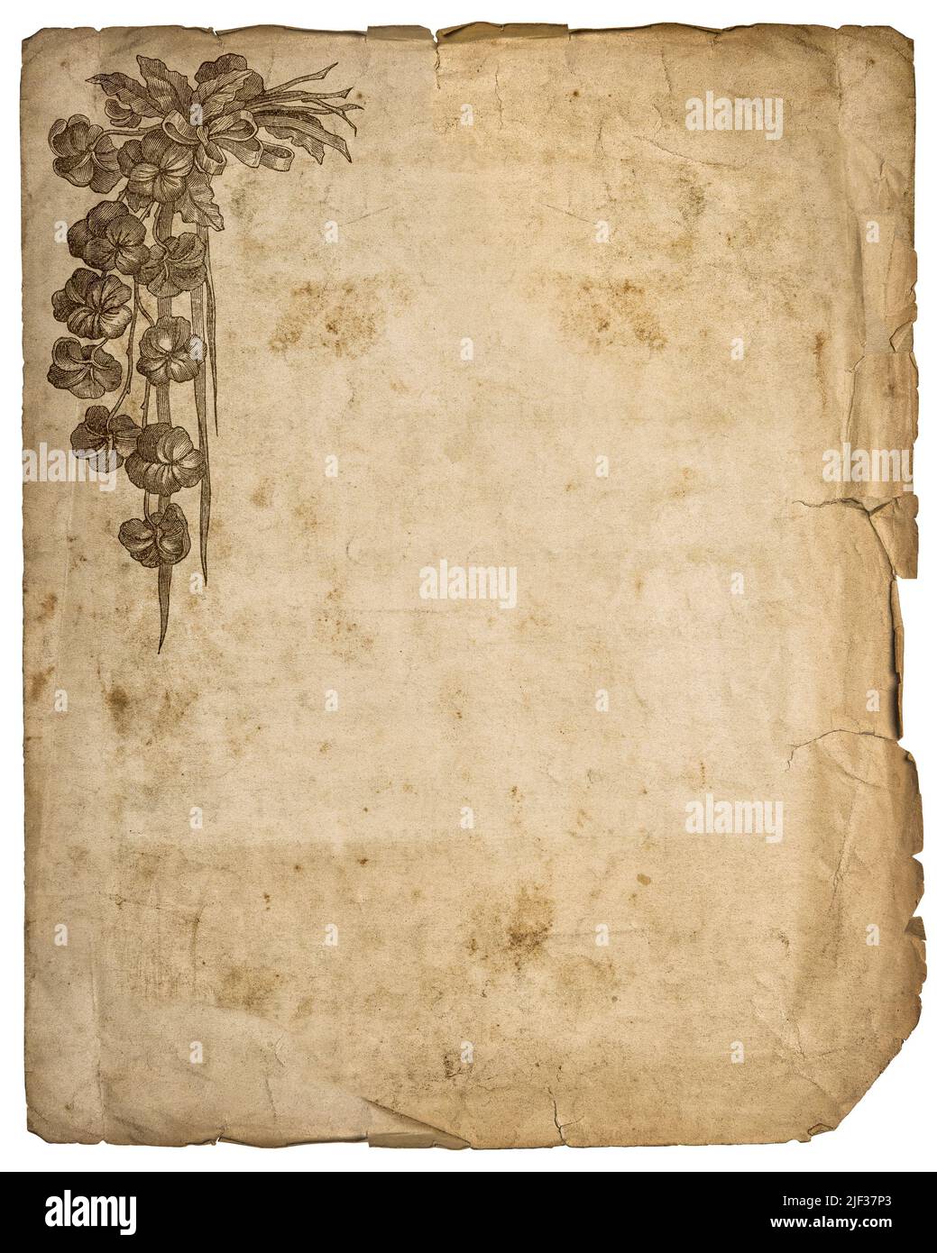 Ancienne feuille de papier déchirée avec bords déchirés. Texture d'arrière-plan Banque D'Images