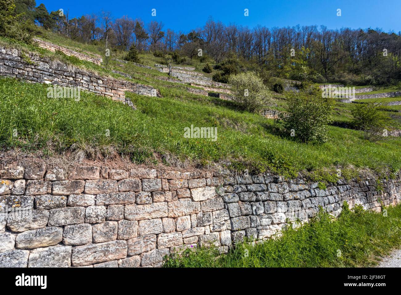 Prairie sèche et murs en pierre sèche dans la région de la chapelle Wurmlinger, Allemagne, Bade-Wurtemberg Banque D'Images