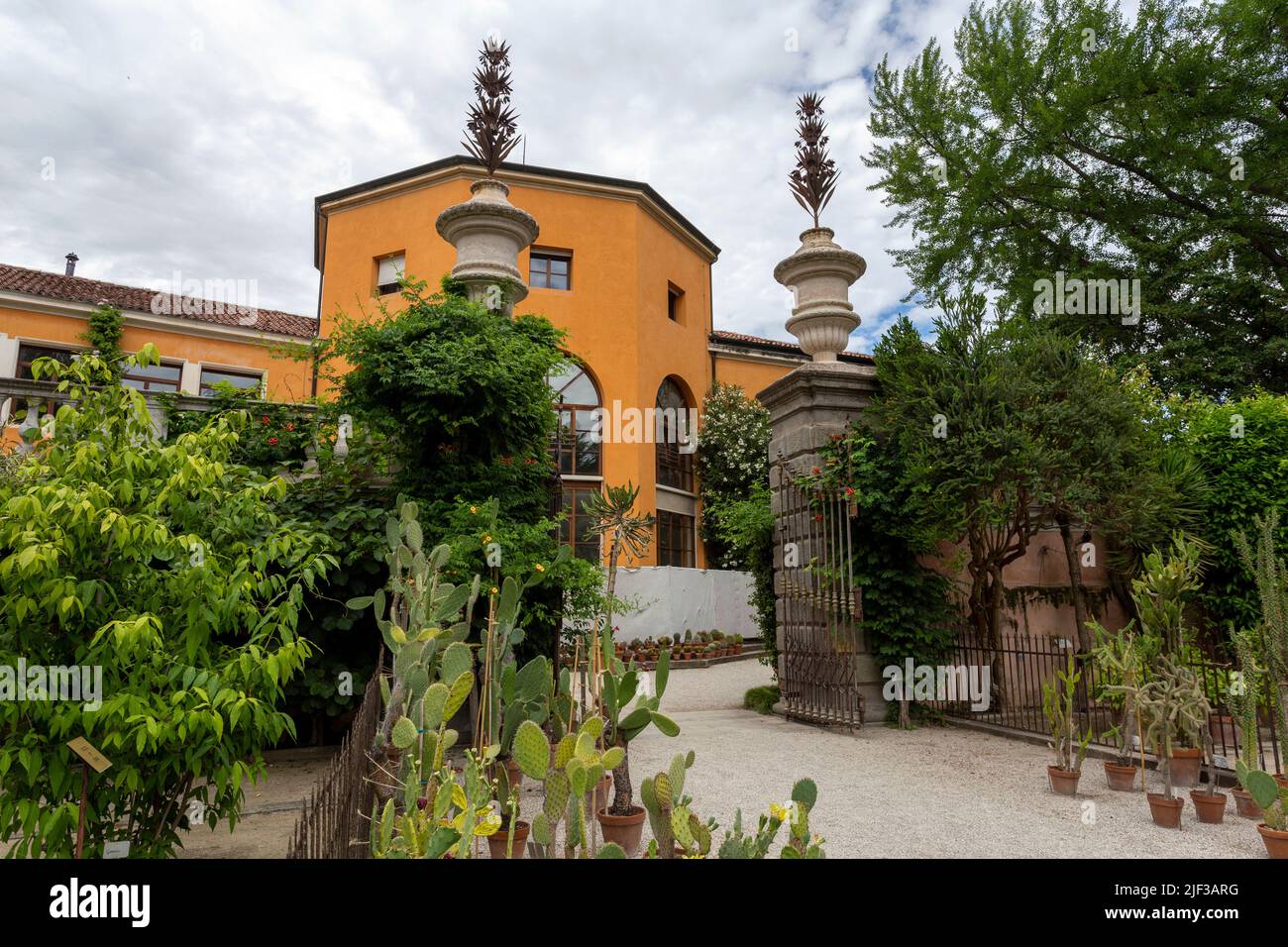 Padoue, Italie - 06 10 2022: Jardin botanique de l'Université de Padoue à Padoue, un jour d'été. Banque D'Images