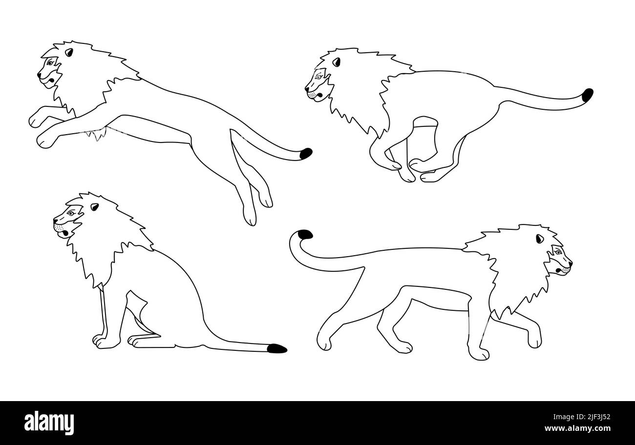 Ensemble vectoriel de lions à contour plat isolés sur fond blanc Illustration de Vecteur