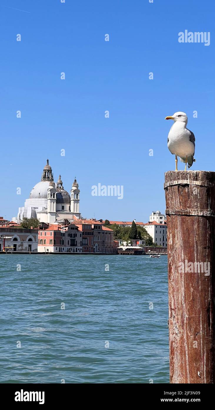 Venise en Italie Banque D'Images