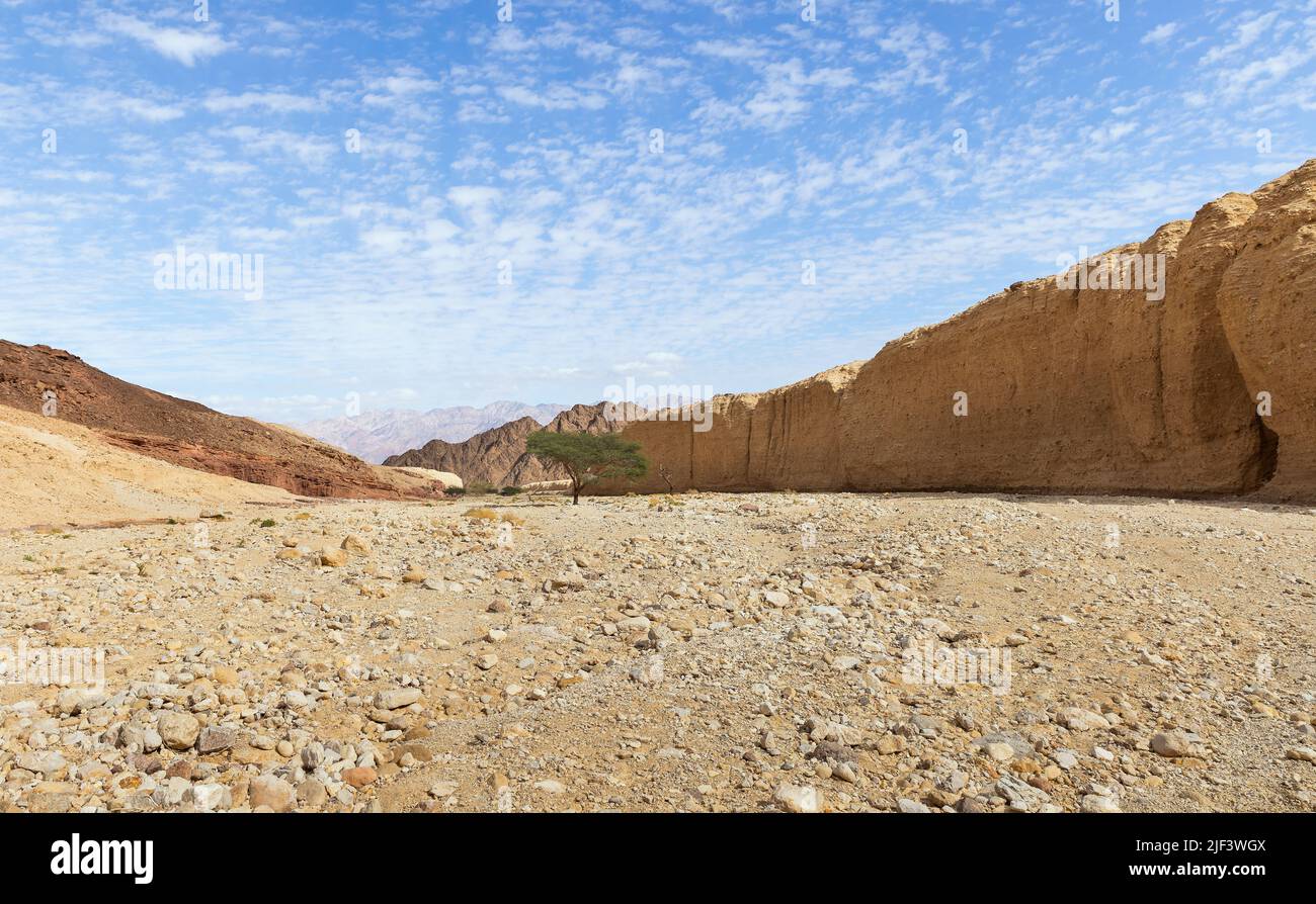 Magnifique Shkhoret Canyon dans le désert d'Arava en Israël Banque D'Images