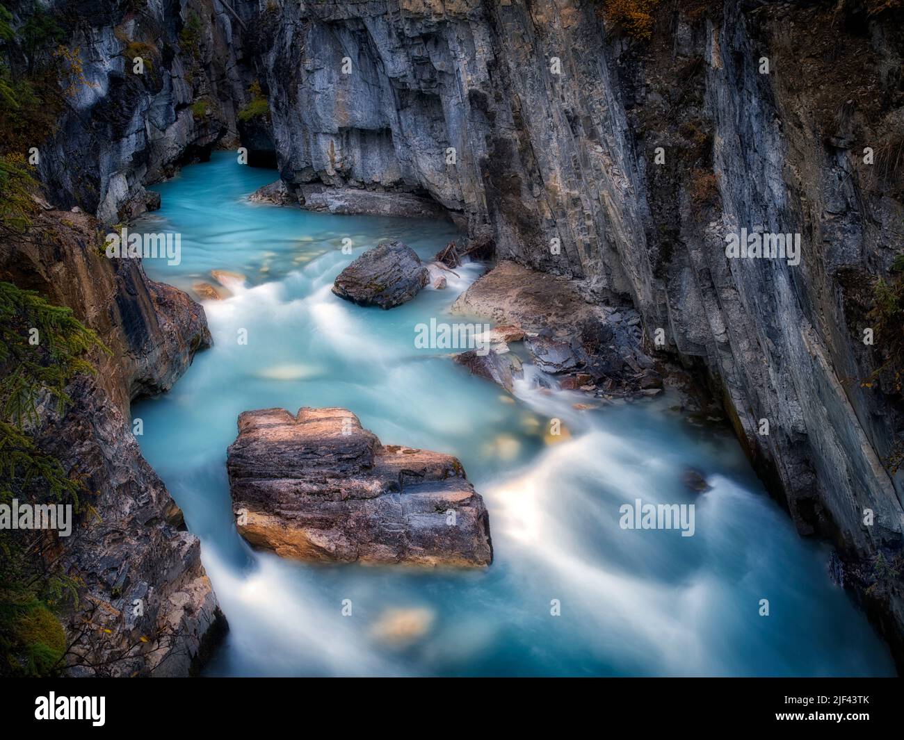 Ruisseau Tokumm, Marble Canyon. Kooteny National Park, Canada Banque D'Images