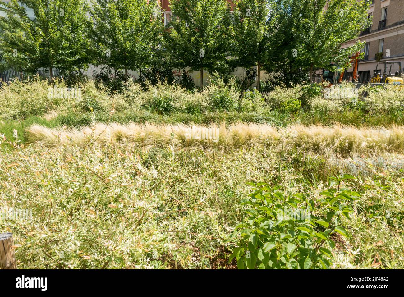 Jardin Truillot, parc de la ville dans le 11th arrondissement de Paris, Parc SaintAmbroise