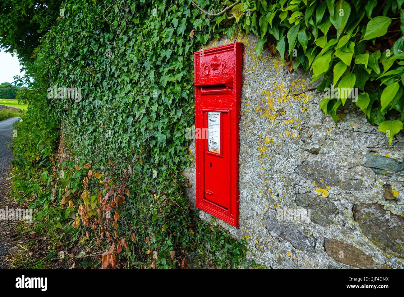 Boîte postale rouge vif, située dans un mur de pierre avec de l'ivy, Ingleton, North Yorkshire Banque D'Images