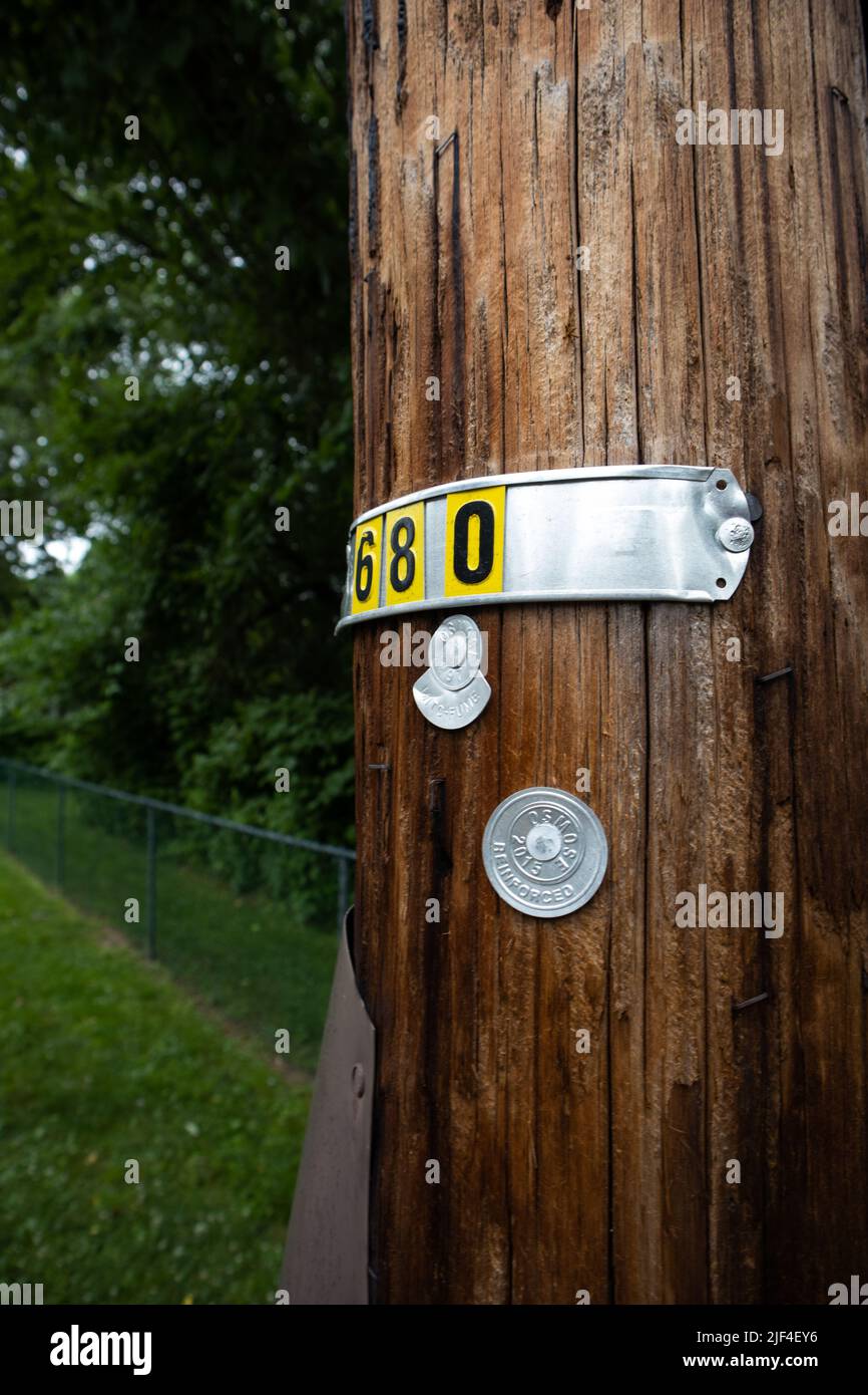 Un gros plan vertical d'un badge argenté avec des numéros sur le poteau en bois. Mise au point sélectionnée. Banque D'Images