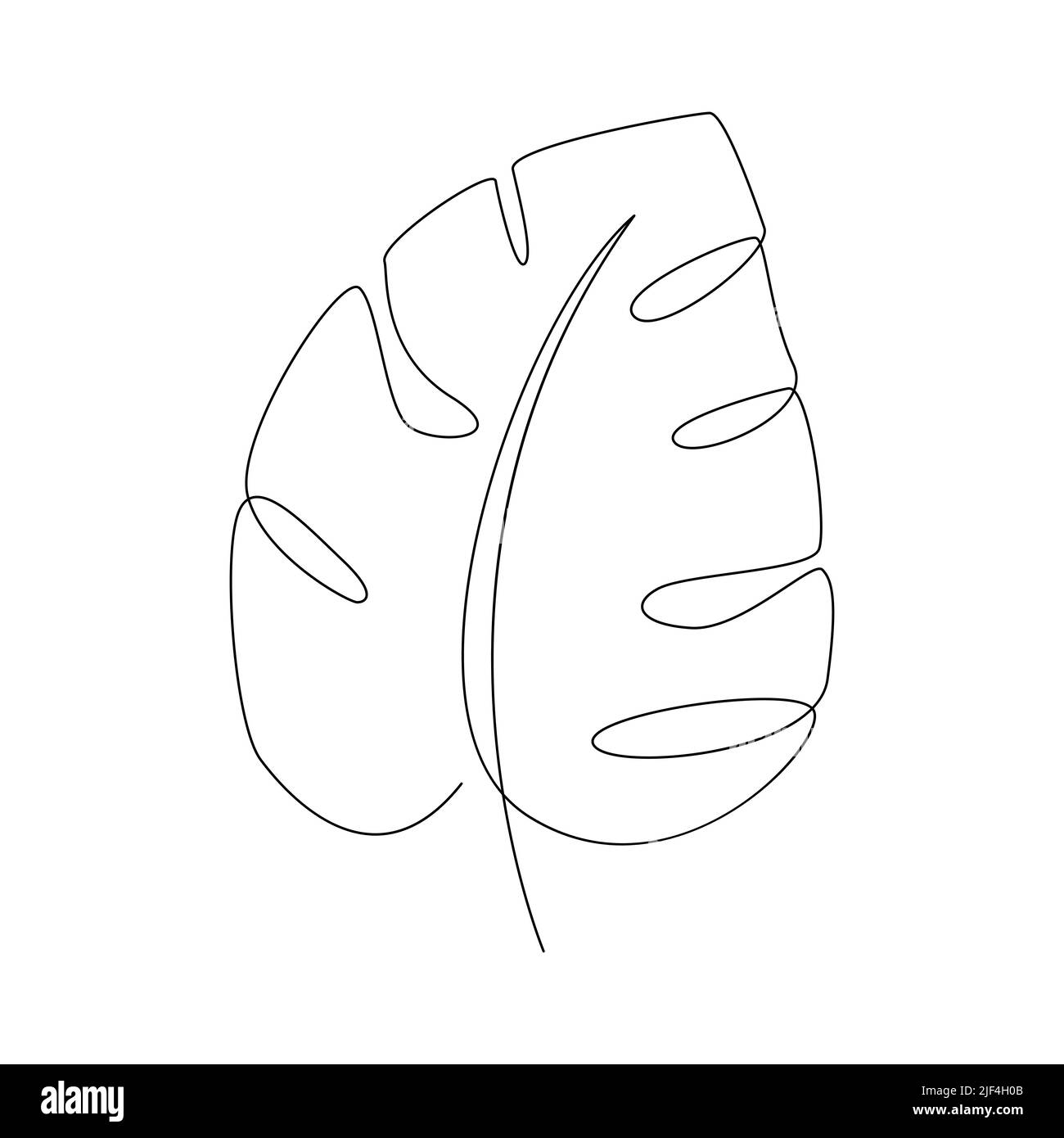 Dessin d'une ligne de feuilles de palmier tropicales. Illustration vectorielle. Illustration de Vecteur